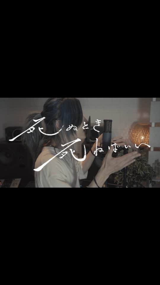S!N（シン）のインスタグラム：「死ぬとき死ねばいい(カンザキイオリ) / S!N Cover  #cover #coversong #karaoke #singer #song #music #vocal #rock」