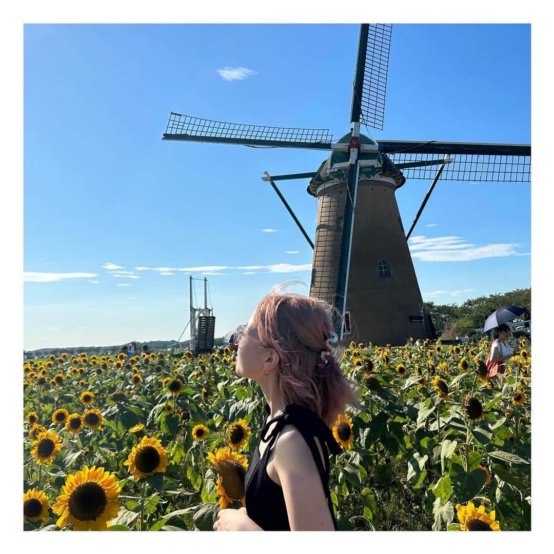 宮本ひなののインスタグラム：「夏始まった感じ🌻🌻 #ひまわり畑  #ひまわり #夏 #summer」