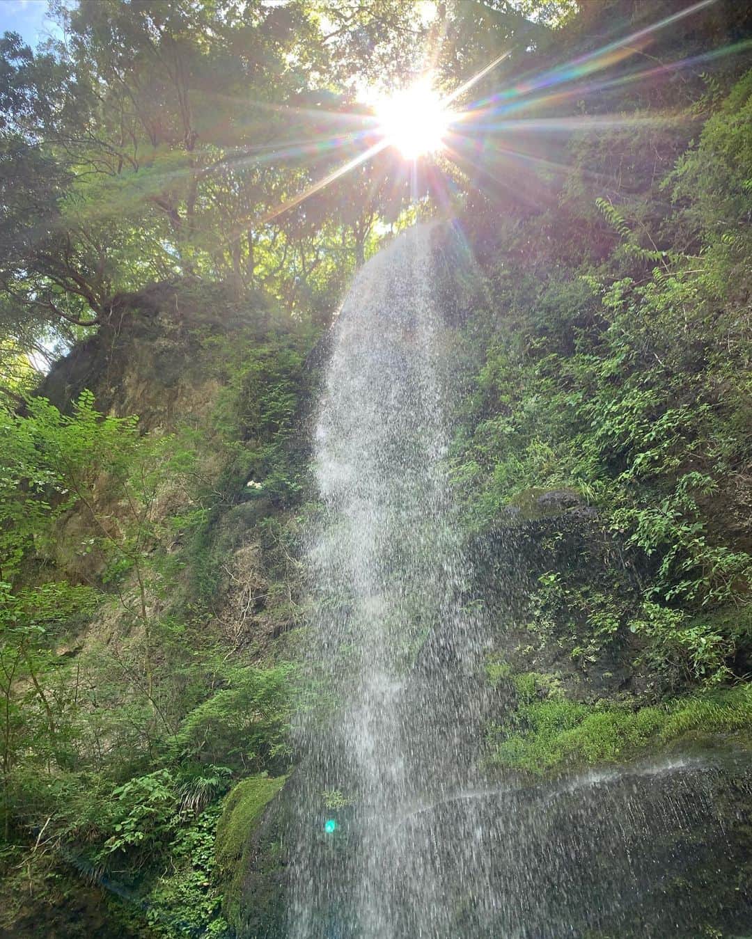吉川ちかさんのインスタグラム写真 - (吉川ちかInstagram)「今日はみんなで滝行へ 行ってきました🤣🩷  夕日の滝って場所で 滝に打たれてきました👏  大自然のパワーを感じだし 悪いものが流れた気がする🤣🩷  人生が大きく変わりそうな時に 滝に打たれて良かったですw 綺麗さっぱりした気分👏  夕日の滝さん……ありがとうございました！！  良い人生経験が 出来たから行って良かった🤣🩷 ちなみに9000円で予約できます！  #夕日の滝#夕日の滝びらき#滝#滝#パワースポット#滝行女子#楽しかった#人生経験#人生経験積んだ」7月19日 19時27分 - yoshikawachika_1116