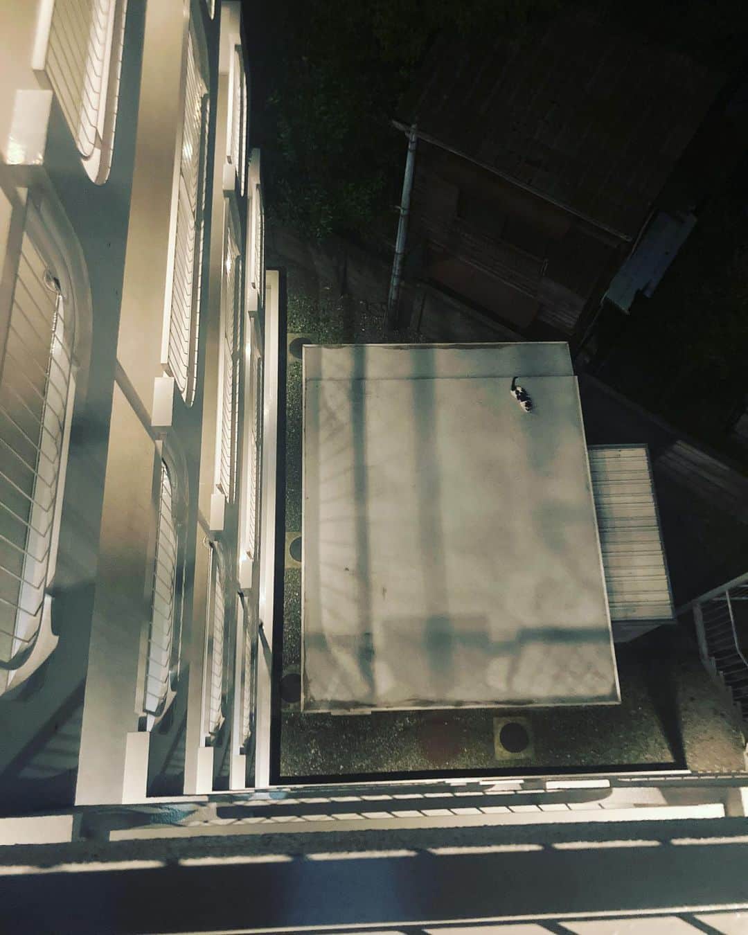 柳下毅一郎さんのインスタグラム写真 - (柳下毅一郎Instagram)「Cat on the Roof #catontheroof」7月19日 20時01分 - garth_y