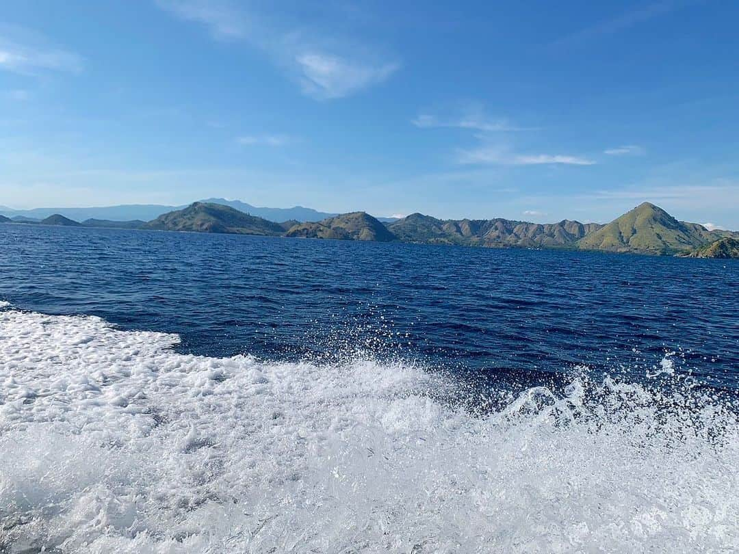 澤井一希さんのインスタグラム写真 - (澤井一希Instagram)「体験ダイビング🧜🏾‍♂️  海の世界は一面の珊瑚礁と綺麗な魚達のとんでもなく美しい世界が広がっていてました🪸🐠✨  居眠り中のウミガメめちゃくちゃ可愛かったぁ🐢💤😍 そして大型マンタと出会った時の興奮は半端じゃなかったです🤩  これが人生初ダイビングでいいんでしょうか？と言いたくなるくらい、僕には勿体無いような最高のダイビングでした😭 本当に感謝です🌊🙏🏾✨  @tabisalad   海中では👍🏾のポーズがNG(何か異常が起きたから海面に上がりたいポーズ)だと教えて頂き、👌🏾で最高ー！を表してます😆📸  #ダイビング #世界自然遺産の海 #フローレス島 #オフショット #インドネシア #フローレス島 #朝だ生です旅サラダ  #ABCテレビ #朝日放送テレビ  #海外の旅 #旅サラダリポーター #海外リポーター #マリ共和国#日本#ハーフ #パリコレ#モデル#俳優#澤井一希」7月19日 20時44分 - _kazukisawai