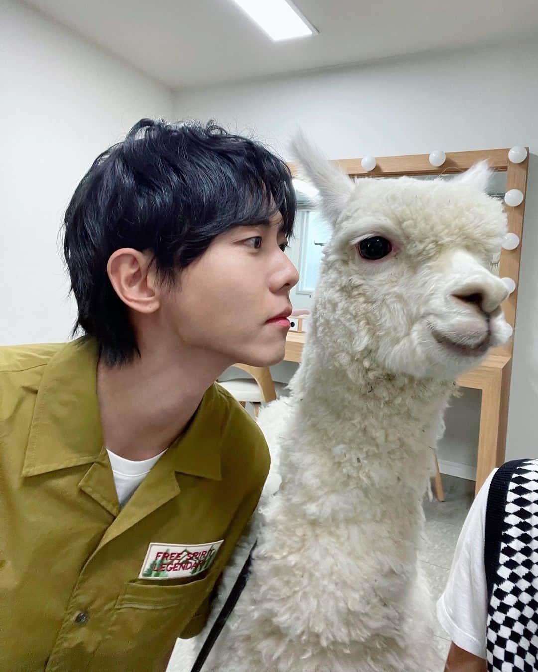 チュ・ウジェのインスタグラム：「알파카맨 왜 콧바람으로 하트 그리는데😅 #신한투자증권」