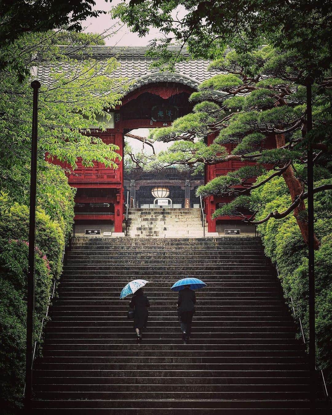 Promoting Tokyo Culture都庁文化振興部のインスタグラム