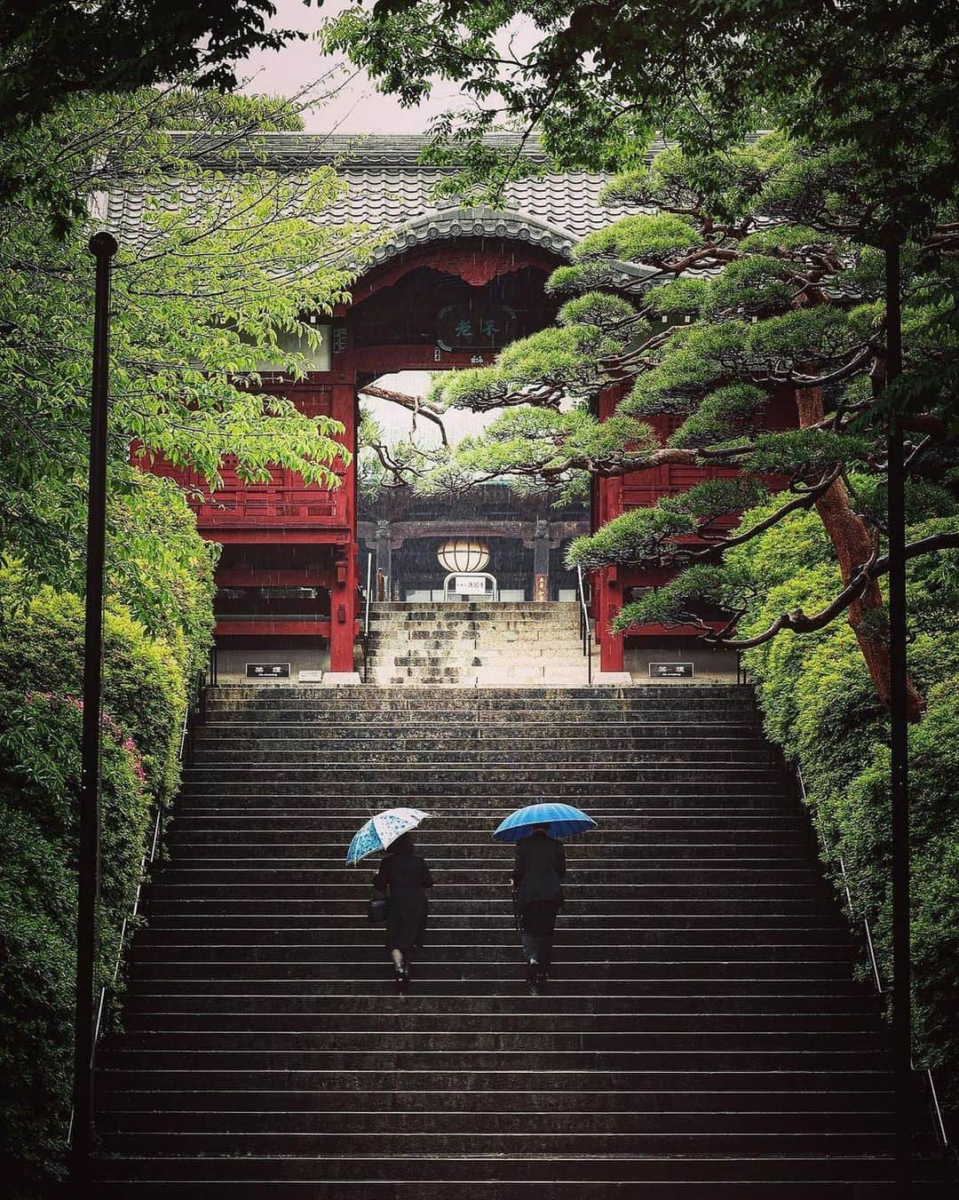 Promoting Tokyo Culture都庁文化振興部さんのインスタグラム写真 - (Promoting Tokyo Culture都庁文化振興部Instagram)「​​Gokokuji Temple's history dates back to the Edo period. Despite suffering two fires, the temple's architectural beauty still shines, and the Gekkoin, a palace for visitors, has been designated as an Important Cultural Property in Japan.  Today, more than 300 years later, the temple is still as popular with the public as it was in the past.  -  文京区にある「護国寺」の歴史は、遡ること江戸時代。 二度の火災に見舞われながらもその建築美は現代に受け継がれており、来客用の御殿「月光院」は国の重要文化財に指定されています。 300年以上経った今も、昔と変わらず人々に親しまれている寺院です。  #tokyoartsandculture 📸: @0x0_jj  #gokokuji #bunkyoku #護国寺 #文京区 #tokyotrip #tokyostreet #tokyophotography #tokyojapan  #tokyotokyo #culturetrip #explorejpn #japan_of_insta #japan_art_photography #japan_great_view #theculturetrip #japantrip #bestphoto_japan #thestreetphotographyhub  #nipponpic #japan_photo_now #tokyolife #discoverjapan #japanfocus #japanesestyle #unknownjapan #streetclassics #timeless_streets  #streetsnap #artphoto」7月19日 20時54分 - tokyoartsandculture