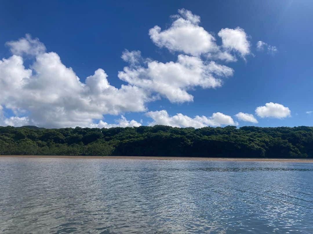 ニコラさんのインスタグラム写真 - (ニコラInstagram)「一夏の想い出　フルカラーの沖縄  〜2日目　前半　由布島・竹富島〜  沖縄②  2日目は早朝からツアー✨  待ち合わせの7:15まで時間があったので フサキビーチをお散歩👣  素晴らしいお天気🌞  バスでピックアップしてもらい、離島ターミナルへ  なかなか激し目に玉ヒュン⚠️するフェリーで45分、西表島へ向かう🛥  西表島についたら、さらに小さな船に乗り換えて マングローブ遊覧の冒険へ出発✨✨  ガイドの先生がマングローブの種類を教えてくれたり、岸に近づいて実を見せてくれたりします✨  生い茂るマングローブ林での船旅は まるでジャングルクルーズ🎶 西表島の自然がつくりだした不思議な植物  大自然の中で私たちは小さな船のなかの小さな生き物❗️マングローブの探索だけではなく、"ここはnatureのテリトリーである"ということを実感できる冒険だった！ワニでも泳いでそうな雰囲気でワクワクしたよ💖  冒険が終わると今度はバスに乗って 西表島を簡単にバスツアー✨  イリオモテヤマネコのことや 高級パイナツプル園のことを教えてもらえたけど 少し寝ちゃった‼️  西表島では動物の保護に大変なちからを注いでいることを知り、頭が下がる想いでした・・  それから由布島への玄関に到着  由布島へは水牛車にのって渡っていくのです🐃 15人ものお客さんを乗せた水牛車を よっこらしょよっこらしょと一歩一歩運んでくれる🥺 私の担当はゆうじろうクンという23歳のベテラン水牛くん🥳  途中から運転手さんがじゃみせんを弾き、民謡を歌い、エンヤ〜コラ〜という気分のまま由布島へ到着🌸  水牛たちが水浴びをしていたり、 水牛と写真を撮れたり、餌をあげられたり、 かつて人が住んでいた頃の小学校跡地があったり、 マングローブ遊歩道を歩けたり、美しいビーチがあったり、小さな島だけどお散歩していると色々見られて面白かった❣️  ビーチの前の由布島茶屋では 手作りジェラートが食べられる🥳 パイナツプルとバニラのジェラート美味しかったぁ💖  満喫したあとはまた水牛車に乗って西表島▶︎バスで港▶︎船で竹富島へ🛥  つづく・・」7月19日 20時55分 - nicolax27