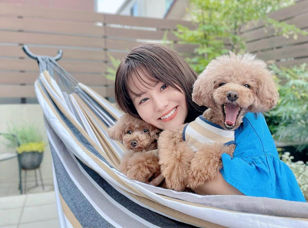 藤井由依のインスタグラム：「. 福岡帰省の大本命！ かわいいかわいい弟たち🐶🐶  お家に着いた途端駆け寄ってきてくれて、 忘れてなかったことに一安心。  またすぐ帰るけんまっとってね〜✈️   #犬  #トイプードル  #福岡  #夏休み  #アナウンサー」