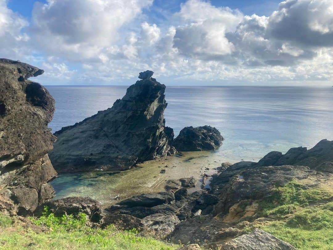 ニコラさんのインスタグラム写真 - (ニコラInstagram)「一夏の想い出　フルカラーの沖縄  〜3日目　前編　御神崎灯台・シュノーケリング〜  予定より早起きした朝は車に乗ってささっと出発🌞  せっかく時間もあるし・・目的地への通り道にある御神崎(おがんざき)灯台へ行ってみることに  気持ち良い海辺ドライブ🎶  目的地に近づくと次第に周りは木々で囲まれ、遠くから聞こえていたはずの蝉の声がだんだんと大きくなって行き・・・  灯台へたどり着く頃にはとうとうそれは耳をつんざくほどオーケストラとなったのである‼️‼️  車を止めて灯台へ近づいてみると 茂みからもオーケストラは容赦なく鳴り響いている  その数およそ数十万はくだらないであろう  1寸先はセミという恐怖の階段 勇気を出してかけ登った先には  ・・絶景が広がる・・‼️  ダイナミックな崖の下には透明な波が打ち寄せ🌊  そろりそろりと崖の方へ足をすすめてみる スリルがたまらなく面白かった❗️  あとから知ったけどここは飛び降り自殺の名所らしくて。。心霊スポットでもあるみたい。。夜は行かないように注意⚠️  しかしセミの恐怖にうち勝ったことの満足感が凄くて、 またひとつ強くなれた感じがして良かった❗️w  朝イチのアドベンチャーを終えたら マンタ🐠とウミガメ🐢を探しに行くツアーに参加するため 石垣シーサイドホテルへ✨  ウェットスーツに着替えて、 ゴーグルの使い方などのレクチャーを受けたら キラメク海原へ出港‼️🌊  マンタスポットを目指すも、途中で大きな雲が現れてお天気雨がサーとふったり、ここ最近はマンタもウミガメも全然見れてないということで、ちょっと気分は落ち込みぎみに。。  潜る頃にはカンカンお日様が出たので ワクワクしながら海へダイブ❣️  先生とチームメイトたちと一緒にマンタが現れるサンゴの丘へスイスイ泳ぐ❣️  結構深いのに海の底までしっかり見えて感動✨  しばらく泳ぐと、先生が  ❗️ウミガメいるよ❗️と  本当だ！サンゴの上で居眠りするウミガメ🐢💤  大きくて可愛い❣️💕  しばらくウミガメをみんなで眺めて✨  また少し泳いで移動  すると今度は別のウミガメ‼️今度はスイスイ泳いでいる〜‼️  ウミガメの後ろをみんなで泳いでついていく✨  ウミガメと一緒にしばらく泳いで・・  海の仲間の一員になれた気分♩  それでも、マンタは現れず・・  と思っていたら、  先生が　　  マンタいたよ‼️‼️‼️  大きなマンタ　変な顔のマンタが ふわふわ〜と泳いできた‼️‼️  マンタだぁ❣️❣️❣️見れた見れた❣️❣️  5分くらい　そのへんをうろうろしてくれたのでしっかり見れた😍😍  今回はオスの小さめのマンタだったんだって！ それでも、先生も数週間ぶりに見たよと言ったので、ラッキー❗️❗️❗️😍😍  大満足な気分で、次のポイント🐠お魚スポットへ えさをばらまくとカラフルなお魚たちが近寄ってきて 脳内BGM♩under the seaが流れ出す🎶  クマノミの家族や大きなシャコガイ 足のような硬いなまこも見られて面白かったなぁ🥳🥳  可愛いブルーとグリーンとパープルのお魚　あのあと市場でぐったり売られていたのは悲しかった。  十数年ぶりのシュノーケリングはとっっても新鮮で楽しくてワクワクで美しくて本当にやってよかった‼️ひとり参加でも全然大丈夫だった🥳  石垣島を訪れることがあれはみなさん  ぜひマンタと泳ぐシュノーケリングを楽しんでね  セミが好きな人は御神崎灯台もおすすめです  つづく・・・」7月19日 21時06分 - nicolax27