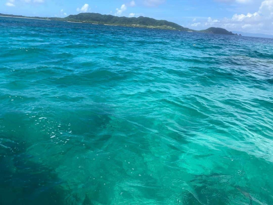 ニコラさんのインスタグラム写真 - (ニコラInstagram)「一夏の想い出　フルカラーの沖縄  〜3日目　前編　御神崎灯台・シュノーケリング〜  予定より早起きした朝は車に乗ってささっと出発🌞  せっかく時間もあるし・・目的地への通り道にある御神崎(おがんざき)灯台へ行ってみることに  気持ち良い海辺ドライブ🎶  目的地に近づくと次第に周りは木々で囲まれ、遠くから聞こえていたはずの蝉の声がだんだんと大きくなって行き・・・  灯台へたどり着く頃にはとうとうそれは耳をつんざくほどオーケストラとなったのである‼️‼️  車を止めて灯台へ近づいてみると 茂みからもオーケストラは容赦なく鳴り響いている  その数およそ数十万はくだらないであろう  1寸先はセミという恐怖の階段 勇気を出してかけ登った先には  ・・絶景が広がる・・‼️  ダイナミックな崖の下には透明な波が打ち寄せ🌊  そろりそろりと崖の方へ足をすすめてみる スリルがたまらなく面白かった❗️  あとから知ったけどここは飛び降り自殺の名所らしくて。。心霊スポットでもあるみたい。。夜は行かないように注意⚠️  しかしセミの恐怖にうち勝ったことの満足感が凄くて、 またひとつ強くなれた感じがして良かった❗️w  朝イチのアドベンチャーを終えたら マンタ🐠とウミガメ🐢を探しに行くツアーに参加するため 石垣シーサイドホテルへ✨  ウェットスーツに着替えて、 ゴーグルの使い方などのレクチャーを受けたら キラメク海原へ出港‼️🌊  マンタスポットを目指すも、途中で大きな雲が現れてお天気雨がサーとふったり、ここ最近はマンタもウミガメも全然見れてないということで、ちょっと気分は落ち込みぎみに。。  潜る頃にはカンカンお日様が出たので ワクワクしながら海へダイブ❣️  先生とチームメイトたちと一緒にマンタが現れるサンゴの丘へスイスイ泳ぐ❣️  結構深いのに海の底までしっかり見えて感動✨  しばらく泳ぐと、先生が  ❗️ウミガメいるよ❗️と  本当だ！サンゴの上で居眠りするウミガメ🐢💤  大きくて可愛い❣️💕  しばらくウミガメをみんなで眺めて✨  また少し泳いで移動  すると今度は別のウミガメ‼️今度はスイスイ泳いでいる〜‼️  ウミガメの後ろをみんなで泳いでついていく✨  ウミガメと一緒にしばらく泳いで・・  海の仲間の一員になれた気分♩  それでも、マンタは現れず・・  と思っていたら、  先生が　　  マンタいたよ‼️‼️‼️  大きなマンタ　変な顔のマンタが ふわふわ〜と泳いできた‼️‼️  マンタだぁ❣️❣️❣️見れた見れた❣️❣️  5分くらい　そのへんをうろうろしてくれたのでしっかり見れた😍😍  今回はオスの小さめのマンタだったんだって！ それでも、先生も数週間ぶりに見たよと言ったので、ラッキー❗️❗️❗️😍😍  大満足な気分で、次のポイント🐠お魚スポットへ えさをばらまくとカラフルなお魚たちが近寄ってきて 脳内BGM♩under the seaが流れ出す🎶  クマノミの家族や大きなシャコガイ 足のような硬いなまこも見られて面白かったなぁ🥳🥳  可愛いブルーとグリーンとパープルのお魚　あのあと市場でぐったり売られていたのは悲しかった。  十数年ぶりのシュノーケリングはとっっても新鮮で楽しくてワクワクで美しくて本当にやってよかった‼️ひとり参加でも全然大丈夫だった🥳  石垣島を訪れることがあれはみなさん  ぜひマンタと泳ぐシュノーケリングを楽しんでね  セミが好きな人は御神崎灯台もおすすめです  つづく・・・」7月19日 21時06分 - nicolax27