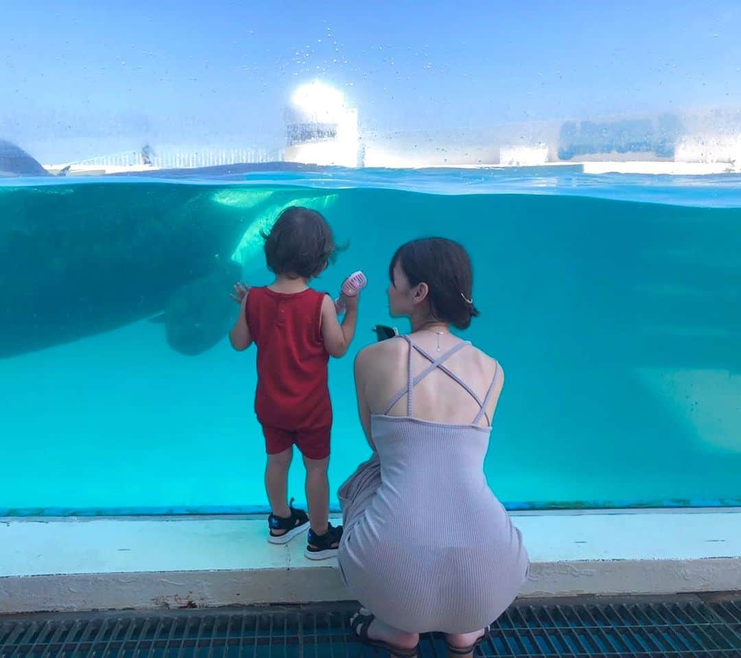 神子島みかのインスタグラム：「. くびれぎゃんぎゃん⌛️💥 我ながら妹から送られてきた写真見て  "くびれいい感じじゃん" と自画自賛でSNSに載せる←  先日 @kubireya さんで 余分な脂肪を冷却して🥶抹殺してもらいました。  くびれyaさんにに新しく導入された  🌬️脂肪冷却マシン❄️  二の腕と内ももの4cupを受けて来ました。 10年くらいまえから脂肪冷却マシンを試し続けた美香先生が  『やっと効果を感じて納得した』 『結果重視のすごいマシン』  と神が言うから期待しかない！ 脂肪冷却マシンって効果を実感するのは普通2〜３ヶ月後と言われているのに このマシンは施術直後でも とにかく変わってることを手で触って実感出来て思わず  ゔわ！ と声出たww  これからもっと減ってくれるなんて めちゃくちゃ楽しみ…  お腹や腰も 次やろ！！水着着る前に絶対やる！！  【1cup¥33,000のところ】 今キャンペーン中で ↓ 2cupで¥30,000(¥33,000税込) 4cupで¥50,000(¥55,000税込)  さらに 今回のかごみかクーポンは お腹の脂肪冷却をした方限定で 『お腹のガス抜きマッサージ』を無料で付けてもらえると😭😭😭😭😭  毎度毎度女神なんだよ みか先生！  今回も育毛もしっかりやってもらって トップのボリュームがやっとふんわりしてくれて 頭皮の薄さも感じなくなりました！！ (安定の無加工動画が気まずいw)  #脂肪冷却#くびれ#産後ダイエット#くびれya#二の腕痩せ#太もも痩せ#育毛#コロナ後遺症#脱毛症#シャチ」