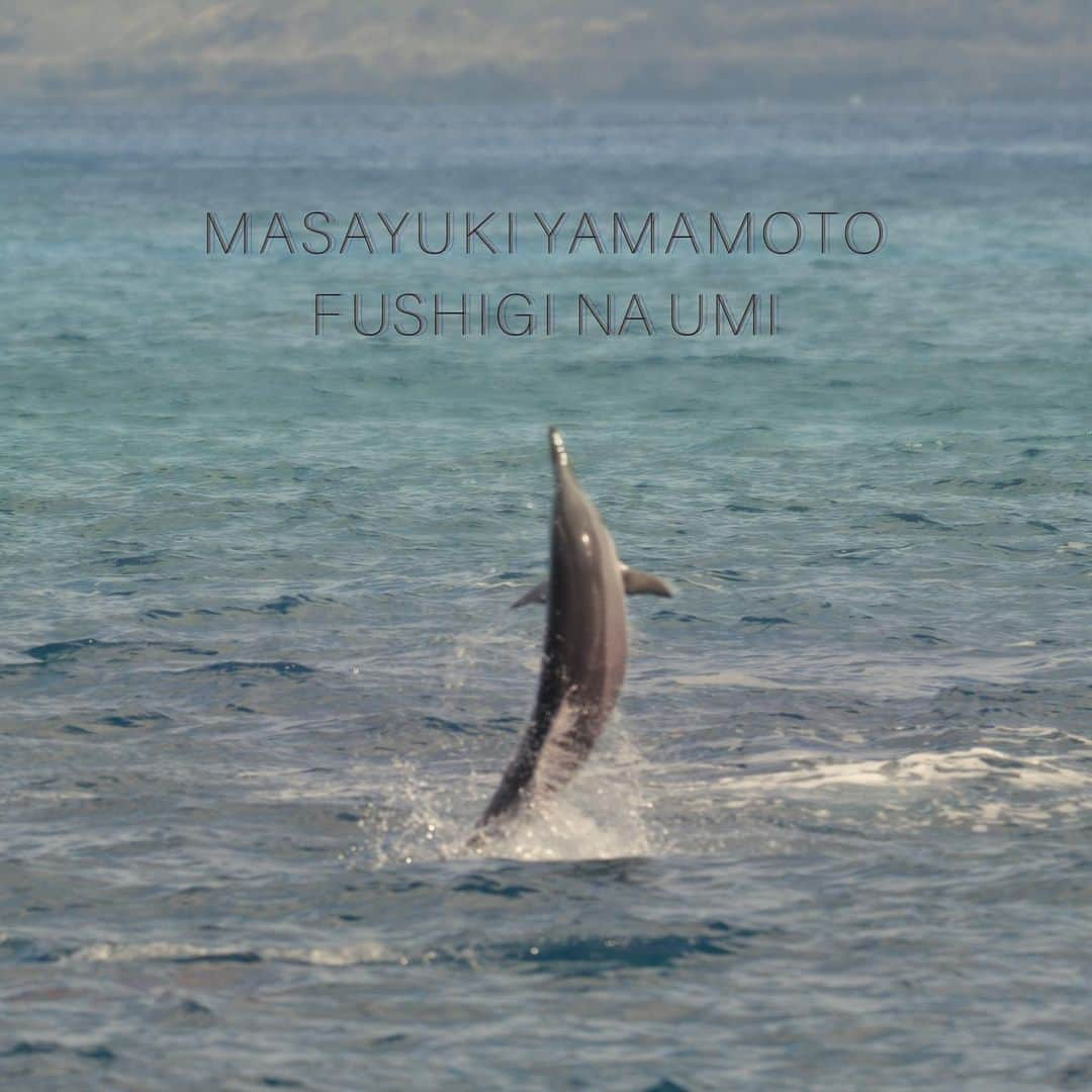 山本幹宗のインスタグラム