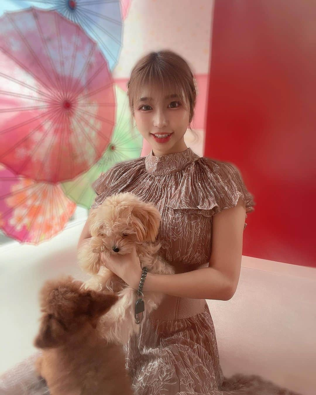 水池愛香のインスタグラム：「浅草の犬カフェに行ってきたよ🐶🫶  初めての犬カフェだったけど、9匹もいて小さいワンちゃんもたくさんでめっちゃ可愛かった🥺💓💓  座ってたらワンちゃんがみんな駆け寄って膝の上に乗ってくる🥹🥹  おとなしくてずっと膝の上に居続ける子もいてめっちゃ癒された🥰🌸  ひまわりくんがとくにお気に入りになりました🌻  浅草でデートとかにもおすすめ🐶❤︎  #ティーカッププードル #犬カフェ #犬カフェレポ部 #プードル #トイプードル #てぃーかっぷぷーどる #てぃーかっぷぷーどる男の子 #浅草 #観光スポット #浅草デート #犬 #犬のいる暮らし #犬スタグラム」