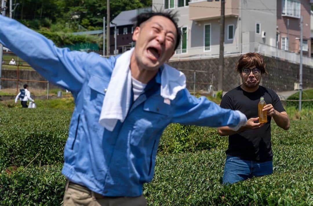 蛭川 慎太郎のインスタグラム：「ブンブンハローYouTube🫡 どうも！ 緑茶系YouTuberカテキンです！ 次はあなたの村の茶畑で！ #有吉の壁」