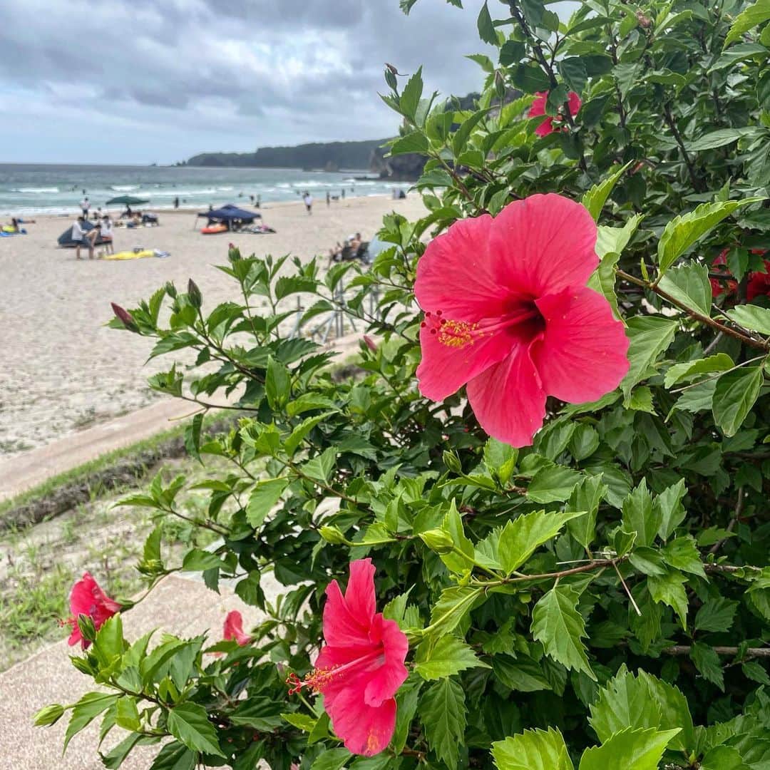 太田莉菜のインスタグラム：「good times and tan lines〜🌺」
