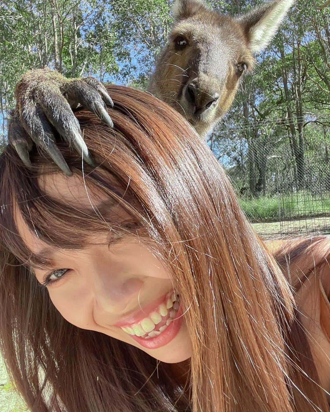 溝呂木世蘭さんのインスタグラム写真 - (溝呂木世蘭Instagram)「オーストラリア、パースにある 動物園  📍 コーハーヌ・コアラ・パーク Cohunu Koala Pa  コアラ抱っこに、 カンガルーにご飯！  仕切りのない動物園！！  園内あるいてると、ダチョウが野放し！ 豚ちゃんも成長しすぎてありえないくらいの大きさに！笑  特にカンガルーは人懐っこくて可愛かった♡  #コアラ抱っこ#カンガルー#触れ合い#オーストラリア#触れ合い動物園#柵がない動物園 #西オーストラリア#Perth#パース#キャンピングカー#ロードトリップ#女子旅#タビジョ#旅好き#旅行好きな人と繋がりたい」7月19日 21時58分 - seran_0422