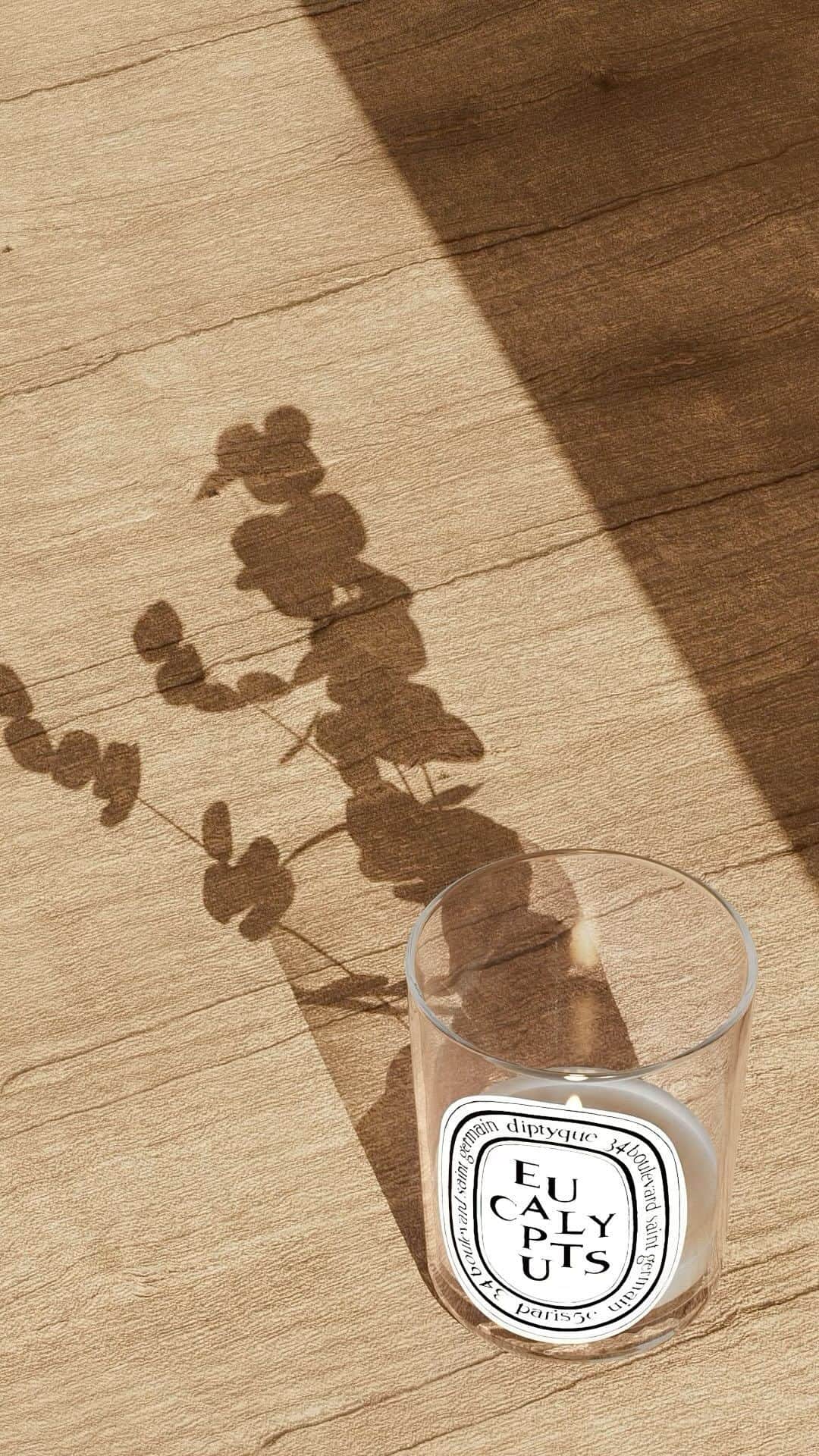 ディプティックのインスタグラム：「Eyes closed… …or simply looking away, we easily confuse the candle with its inspiration. True to the scent of the tree, Diptyque’s Eucalyptus candle reveals the green, aromatic fragrance of its silvery leaves. Camphor notes freshly emerged from the forest. #Diptyque #DiptyqueParis #ClassicCandle #Candles #Eucalyptus」