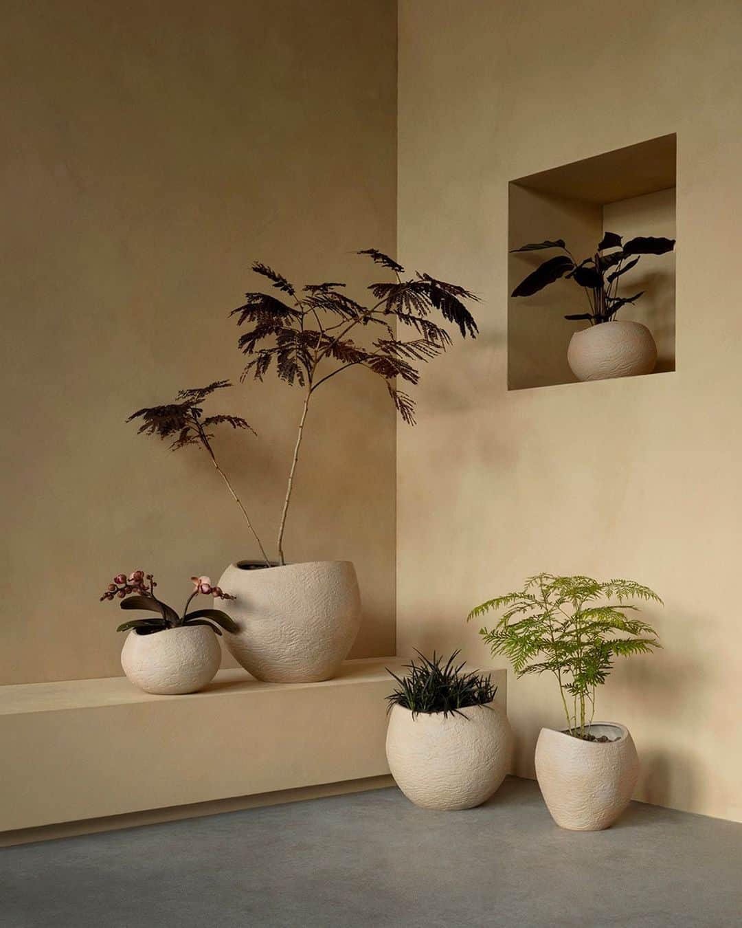 Image result for Design Milkさんのインスタグラム写真 - (Design MilkInstagram)「Plant yourself in a ...