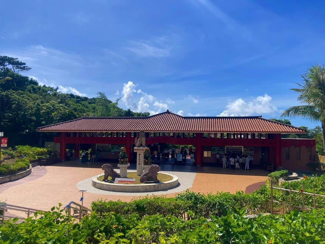 ニコラのインスタグラム：「一夏の想い出　フルカラーの沖縄  〜4日目〜  ついに沖縄最終日。😢  開店同時にレンタカーをとりにいって  今日の目的地🌟沖縄ワールド　へ向かう‼️  10:00から"ガンガラーの谷"の見学ツアーを予約していたので、  9:00には到着して 先に玉泉洞を見に行くことに🏃‍♀️  帰りの飛行機もあるからシビアなタイムスケジュール‼️  オープン同時だったから誰もいない 独占状態で見学🎶  入り口の階段を降りていくと まずは広めの空間にやってくる  地面からはたくさんのつんつん岩がはえており さらに進んでいくと 天井から信じられないほどのつんつん岩が生えているスポットに  ちょいちょいライトアップもされていて綺麗  なんせ人がいないので静か‼️  この静けさが大事な雰囲気(ムード)なんです  岩窟王、地煙の滝、青の泉は 力強く、美しい　清い水とライトで幻想的  しかしゆっくりもしていられず  40分ほどで見終わって  ガンガラーの谷の入り口へ‼️  ガンガラーの谷はずぅっと昔から行きたかった場所だったから ドキドキワクワク‼️  入り口のところはcave cafeになっていて サンゴから抽出したコーヒーが飲めるそうな  ツアーが始まると最初は ガンガラーの谷についての説明と 虫除けスプレーの配布  ここでは数百万年(？)もの時をかけて 自然がつくりだした地形にくわえて 旧石器時代の人骨が発掘されたなんていう  そんなロマンが味わえちゃうのです✨  ガイドさんにくっついて いざツアーがスタート‼️  巨大な竹や　ガジュマル　地形のあれこれ  ガンガラーの谷の由来や歴史  色々なことを教えてくれます！  ランプを持って洞窟に入って行ったり 巨大ガジュマルを見て写真を撮ったり ツリーハウスに登ったり 人骨の見つかったお墓を見たり  1時間20分のツアーはあっというまに終わってしまった💦  でも凄く興味深くておもしろくて ほんっとうに行けてよかった‼️‼️  ツアが終わるとまた沖縄ワールドに戻って  今度はゆっくりと見学  爬虫類博物館ではヘビちゃんと一緒に記念撮影を💖  ちっちゃなトカゲの赤ちゃんに触ったり(本当は触っちゃダメだけど、係のお姉さんと仲良くなって特別に少しだけ触らせてもらった‼️) 巨大ゾウガメやコウモリの赤ちゃんやコウモリの集団をみたり  エイサーのダンスを鑑賞したり(これは撮影禁止だったんだけど、獅子舞みたいな赤いライオンが出てきたり、ひょっとこが出てきたりとめちゃくちゃ面白かった‼️)  ハブとマングースの水泳大会を見たり(めっちゃなごんだ、マングースの勝ち)  琉球ガラス工房をちらりと見学したり  琉球王国城下町のエリアは昔の建物の雰囲気がそのまんま感じられるタイムスリップ体験ができたり (ここでは琉装という当時の民族衣装のレンタルもできたけど時間がなくて断念。あれをきて城下町を歩いてみたかった)  盛りだくさんな沖縄ワールド‼️  最後はお土産ショップを見て  名残惜しい気持ち溢れながら、那覇空港へ・・・・。  最後の最後にブルーシール(今旅行3回目)を食べて、  沖縄にさようならを告げたのであった。、、、  沖縄・・・・・・・  アンタ、最っっっっっ高だよ‼️‼️‼️‼️‼️‼️  またな‼️‼️‼️‼️‼️‼️‼️‼️」