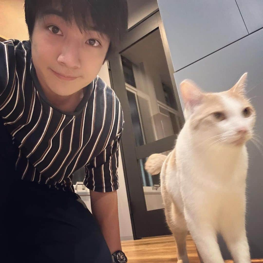 本田剛文さんのインスタグラム写真 - (本田剛文Instagram)「ブレる白 ブレない黒  #猫 #猫のいる暮らし #ねこすたぐらむ  #猫好きさんと繋がりたい  #ボイメン #本田剛文」7月19日 22時54分 - boymen_honda