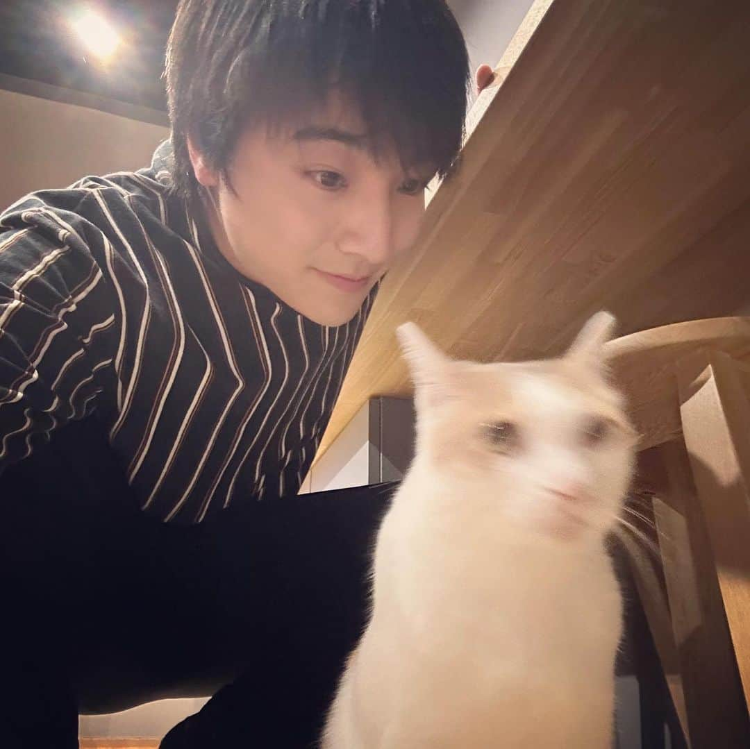 本田剛文さんのインスタグラム写真 - (本田剛文Instagram)「ブレる白 ブレない黒  #猫 #猫のいる暮らし #ねこすたぐらむ  #猫好きさんと繋がりたい  #ボイメン #本田剛文」7月19日 22時54分 - boymen_honda