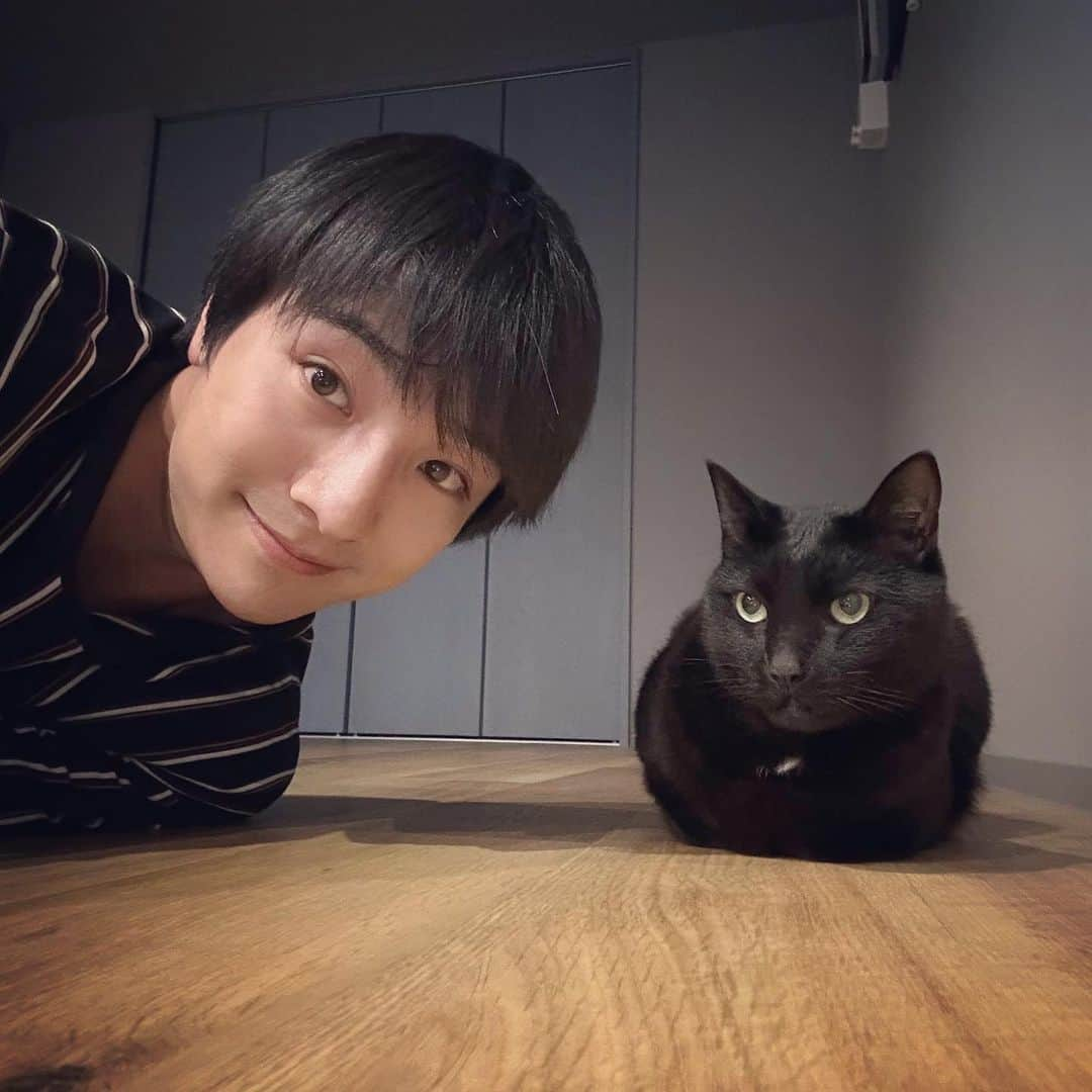 本田剛文さんのインスタグラム写真 - (本田剛文Instagram)「ブレる白 ブレない黒  #猫 #猫のいる暮らし #ねこすたぐらむ  #猫好きさんと繋がりたい  #ボイメン #本田剛文」7月19日 22時54分 - boymen_honda