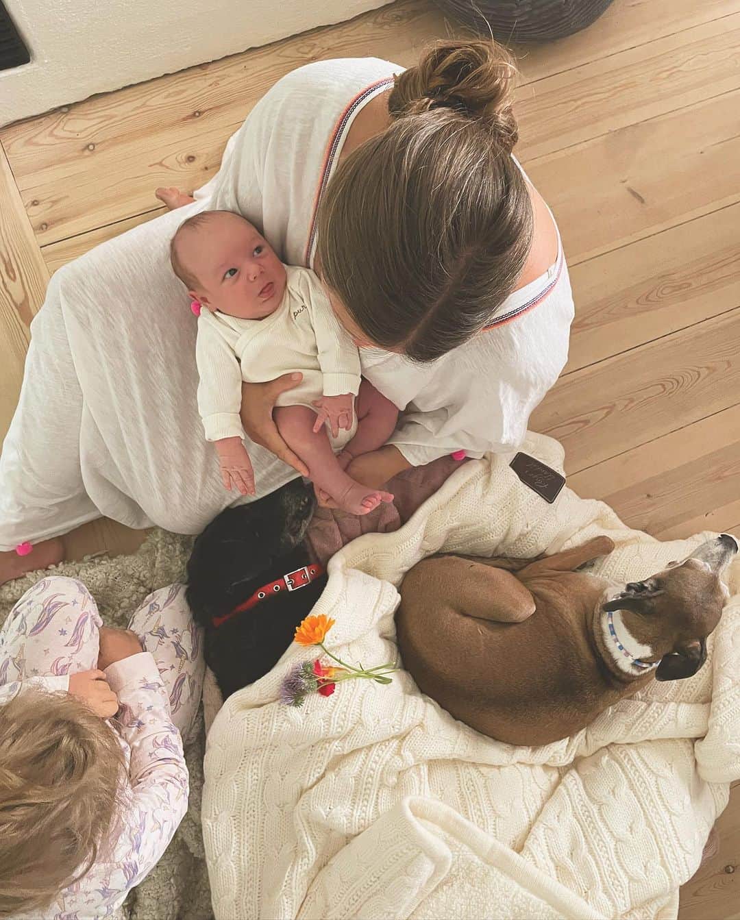 レイチェル・ブレイセンのインスタグラム：「Quila died in my arms this morning. It happened so quickly. Too quickly. She was old, and we knew it was coming, but I wasn’t prepared. I wasn’t prepared at all. But here we are. And just like he did when Laika passed earlier this year, Ringo immediately went to lay down on top of her. He knew right away. Dogs know🥺 They always know.  We have seen so much death this year. And so much life. Quila took her last breath a few feet away from the exact spot where Finn took his first, only a month and a day later. I am so happy he got to know her… Even if it was just for a little while.   Words can’t describe how much I am going to miss her. She’s been by my side since I was 19. My first puppy. The one who opened my heart to the world of dogs for the very first time. Without her, we never would have had our pack.   Tranquila. Quilita. My girl. Life will never be the same💔」
