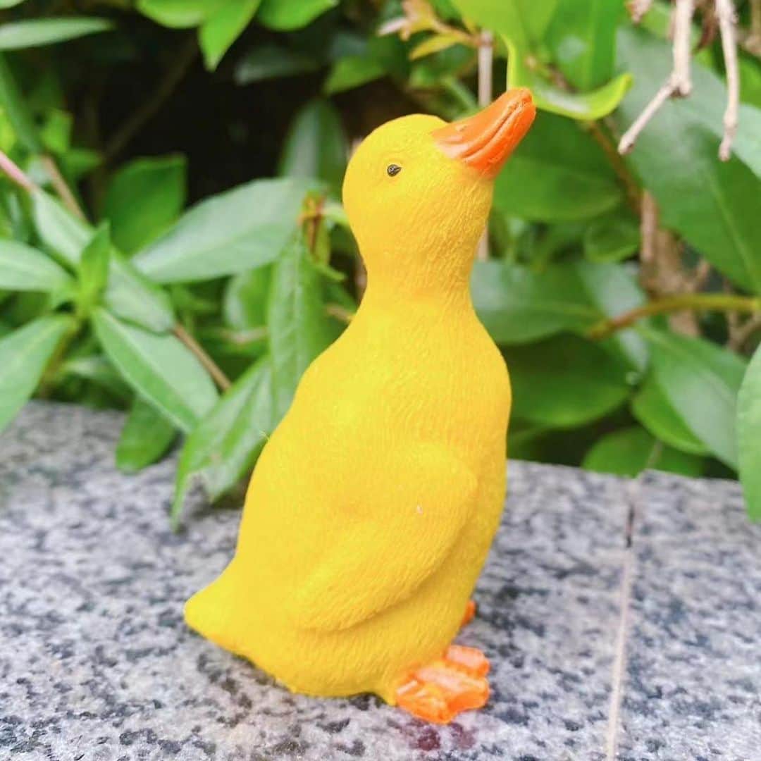 SHEINさんのインスタグラム写真 - (SHEINInstagram)「Which farm friends would add some silly little guy energy to your space? 🤣 Drop a 🚽 🏋️ or 🦆 in the comments 👇  🔎10913725 12340751 16102907  #SHEIN #SHEINforAll #SHEINstyle #fashion #chic #saveinstyle」7月20日 0時30分 - sheinofficial