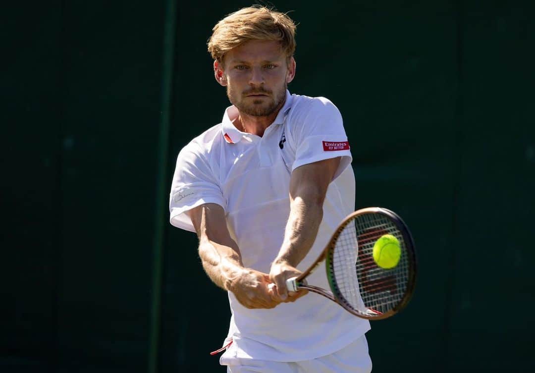 ダビド・ゴフィンのインスタグラム：「End of the grass court season! Now back on the red clay. @emirates @tourismbh @wilsontennis @asicstennis」