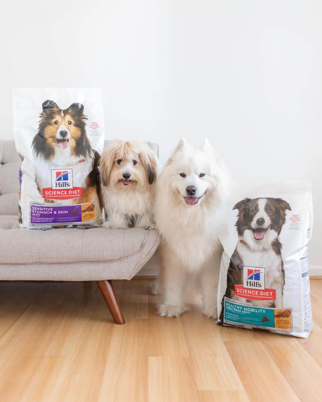 Loki the Corgiのインスタグラム：「[#HillsPartner] Finding the right food to suit your dog's needs can be hard, but @HillsPet Nutrition and their Science Diet recipes make it easy! Bear's joint health is getting increasingly important as he gets older, which is why we feed him Hill's Science Diet Healthy Mobility. The taste keeps him happy, while the nutrition keeps his joints healthy! Momo, on the other hand, has a sensitive tummy, so we feed him Hill's Science Diet Sensitive Stomach & Skin. He's doing really well on it, plus he loves the taste! Click the link in our bio to learn more! #ad」