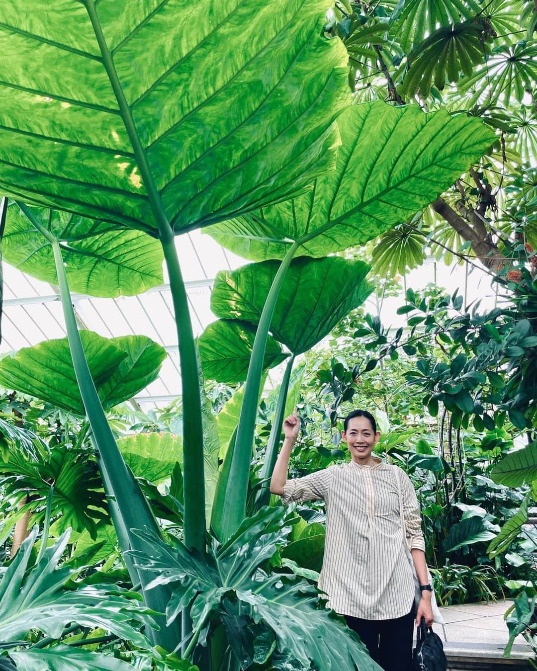 原沙知絵のインスタグラム：「ロンドン南西部にある王立植物園キュー・ガーデンズ (Kew Gardens)。想像以上に広すぎて時間の配分を間違えました。笑。早い時間からゆっくり過ごすのがおすすめです。 #旅 #journy  #london #KewGardens @josephfashion」