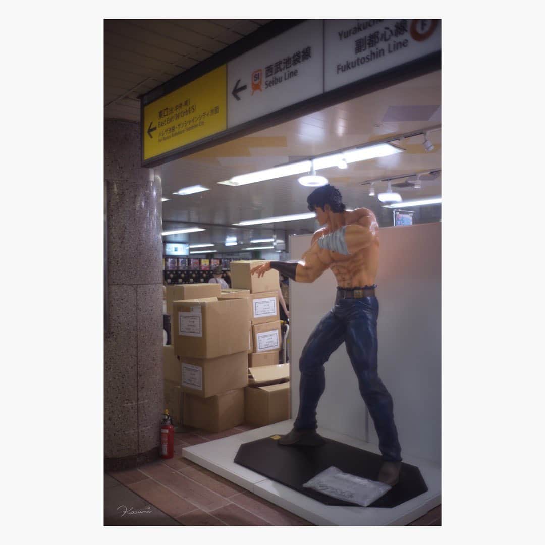 花澄のインスタグラム：「なにかを威嚇してらっしゃった。  Leica M10-P summilux 35mm f1.4 2nd  #leica#leicam10p#summilux#summilux35#summilux35mm2nd#oldlens#オールドレンズ#tokyo#japan#oldlens_tokyo#花澄#kazumiphotography」