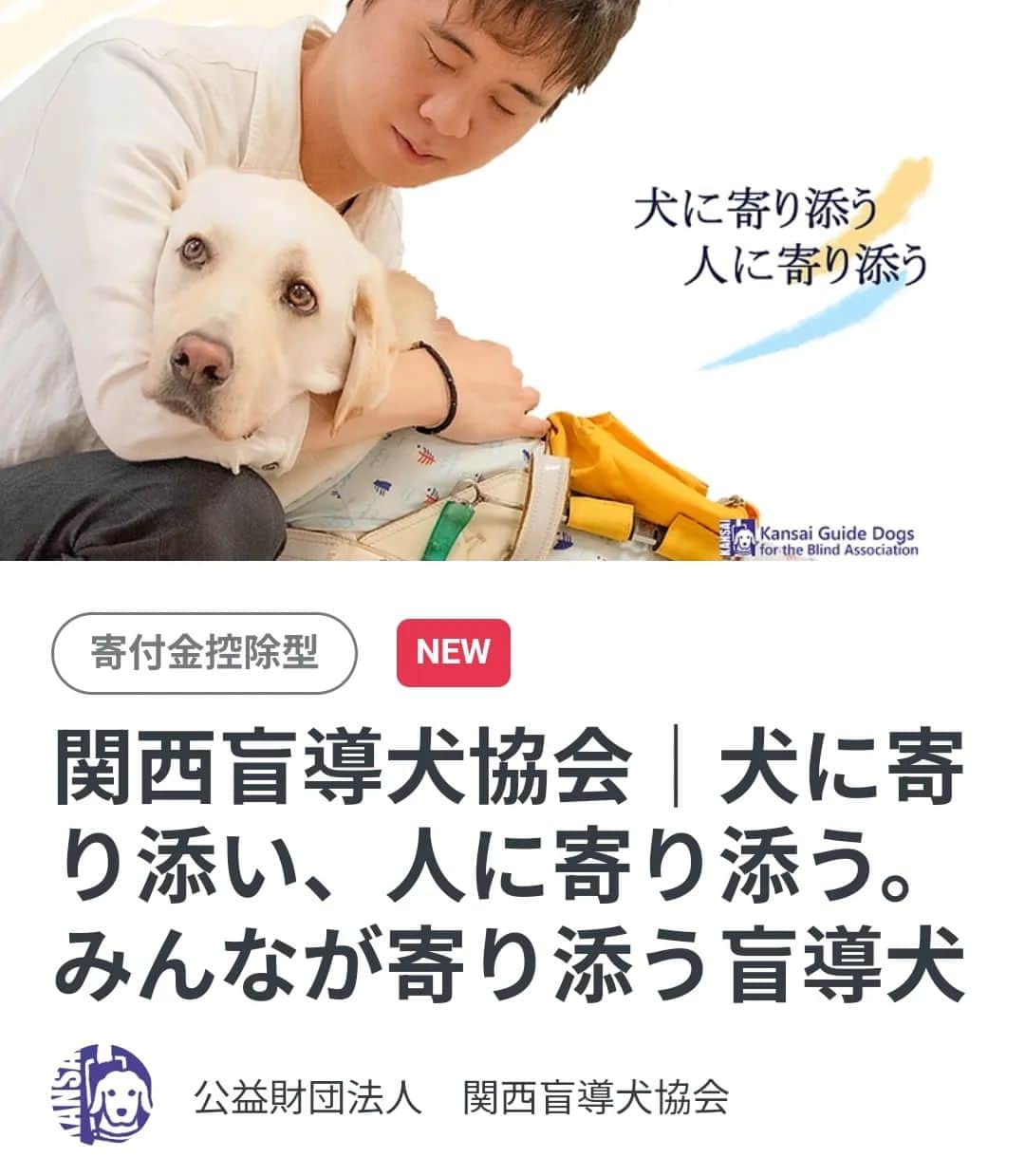 谷口キヨコさんのインスタグラム写真 - (谷口キヨコInstagram)「キヨコは公益財団法人関西盲導犬協会の理事をやらせてもらっています。レディフォーさんでクラウドファンディングやっています。主旨に賛同してくださった方は、どうぞご寄付をお願いいたします。」7月20日 12時10分 - kiyokotaniguchi