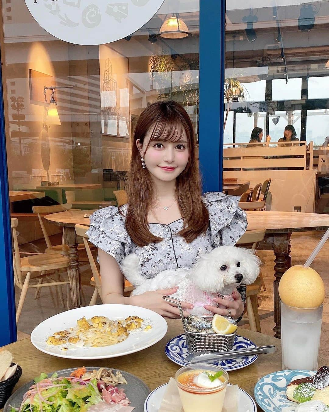 一ノ瀬まりなのインスタグラム：「🐶💓🐶💓🐶  ワンちゃんと行けるカフェいいよね☕️🍰  白い子はおてんばちゃんで、ごはんがあれば誰にでもなつきます🐶笑 お兄ちゃんはほぼ載ってないけど大人しい茶色い子です🐶  もふもふに癒された🤍午後も頑張ろう💖✨  #犬カフェ #犬 #犬のいる暮らし #犬スタグラム #トイプードル #ティーカッププードル #わんこ #犬カフェ巡り #豊洲グルメ #お台場グルメ #カフェ」