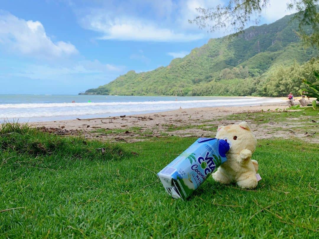 川奈栞のインスタグラム：「Beach close to Kualoa ranch where Jurassic park, LOST, Jumanji we’re filmed🦕🦖🌲🌲🌴🌴」