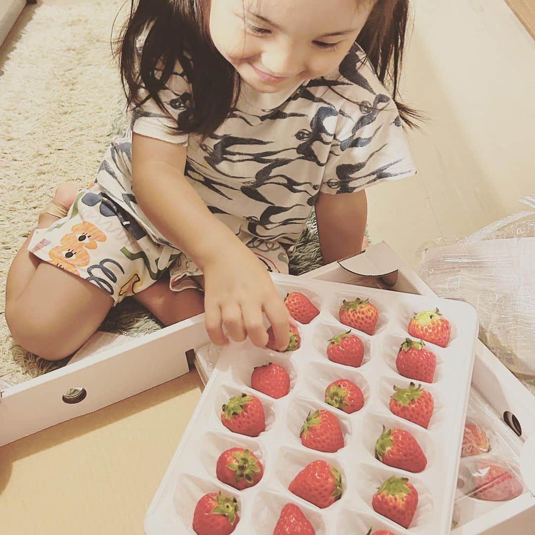 KIKIのインスタグラム：「宝石のような苺🍓✨  奈良の天川 洞川から届いて 開封する横から手を伸ばす娘（しかもキッチンの床で） 瞬殺でした 残りは明日ねーと冷蔵庫にしまったのだけど 末娘はダンボールを何度も開けて 残ってたりしないかチェックしてた☺️  洞川の夏いちご 本当に美味しいんです ありがとう また洞川に遊びに行こうね💓 #洞川夏いちご #洞川 #天川村」