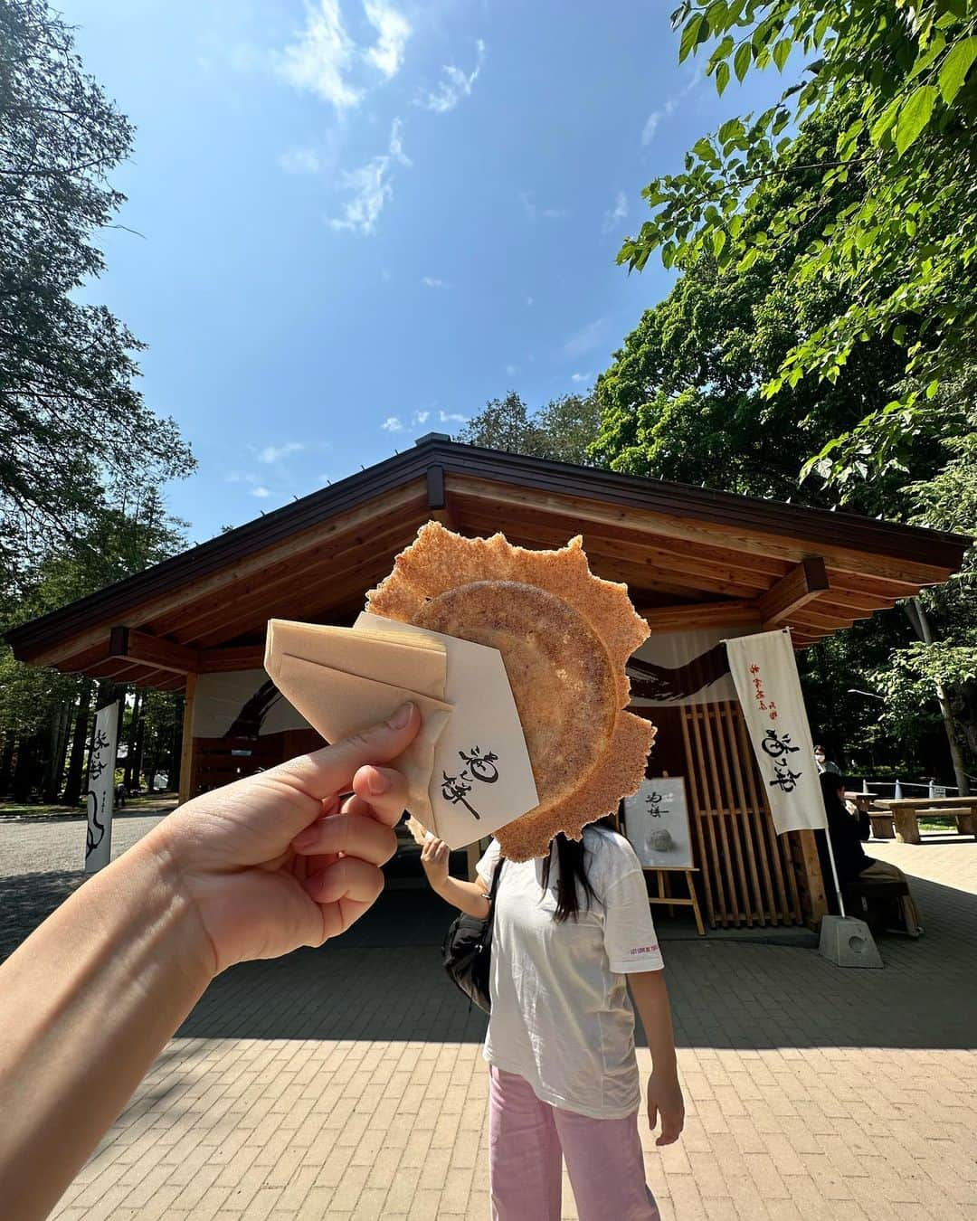 大納言光子さんのインスタグラム写真 - (大納言光子Instagram)「Power Spot  #北海道神宮  #札幌 #北海道 #hokkaidoshrine  #hokkaido  #hokkaidojapan  #sapporo  #japan #powerspot」7月20日 13時20分 - dinagonmitsuko