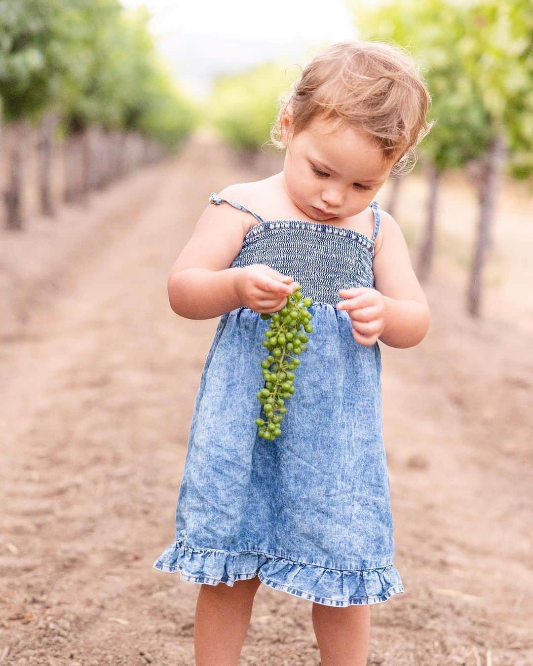 Samuel Lippkeさんのインスタグラム写真 - (Samuel LippkeInstagram)「Happy 2nd birthday Penelope! You're so smart, so kind to all animals and bugs, such a pizza and gelato lover, worlds best little traveler and my very creative sous chef. You will always be daddy's little girl. I am so proud of you baby. #penelopeair」7月20日 4時28分 - samuel.lippke