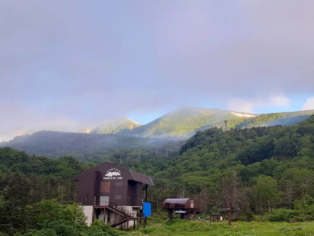 栂池高原スキー場さんのインスタグラム写真 - (栂池高原スキー場Instagram)「おはようございます。 つがいけゴンドラリフト朝一情報です。  天候　霧雨 気温　17℃ 風速　0m/s  雨露に濡れた高山植物達がたくさん咲いていて綺麗です😊  ぜひ、つがいけにお越しくださいませ！ ご来場お待ちしております。  #中部山岳国立公園  #栂池自然園  #北アルプス #白馬山麓 #長野県 #白馬つがいけWOW！ #白馬 #栂池高原スキー場 #栂池高原 #栂池 #ロープウェイ #つがいけマウンテンリゾート  #tsugaike #hakuba #絶景 #子連れ #家族の時間 #ファミリー #こどもとおでかけ  #トレッキング #キャンプ #ドッグラン #アクティビティ #水芭蕉 #白馬三山」7月20日 6時04分 - tsugaike_kogen