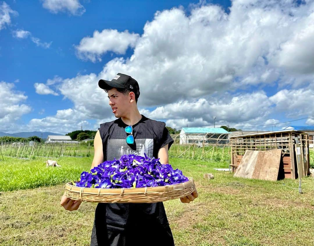 ベンドラメ礼生のインスタグラム：「2023.07.20  聖地巡礼 in 宮崎 僕のファンコミュニティ『#L_planet 』のプレミアム会員限定 一泊二日のイベント。  僕の縁のある場所をみんなで周り いろんな話をしました。  チキン南蛮・電車・学校・夜会・農業・ マンゴー・バタフライピー  充実した二日間でした。 裏テーマはトライ&エラー またよろしくお願いします🥭  #L_planet #聖地巡礼 #宮崎 #延岡学園 #おぐら #magri  #バタフライピー #シャトーマンゴー」