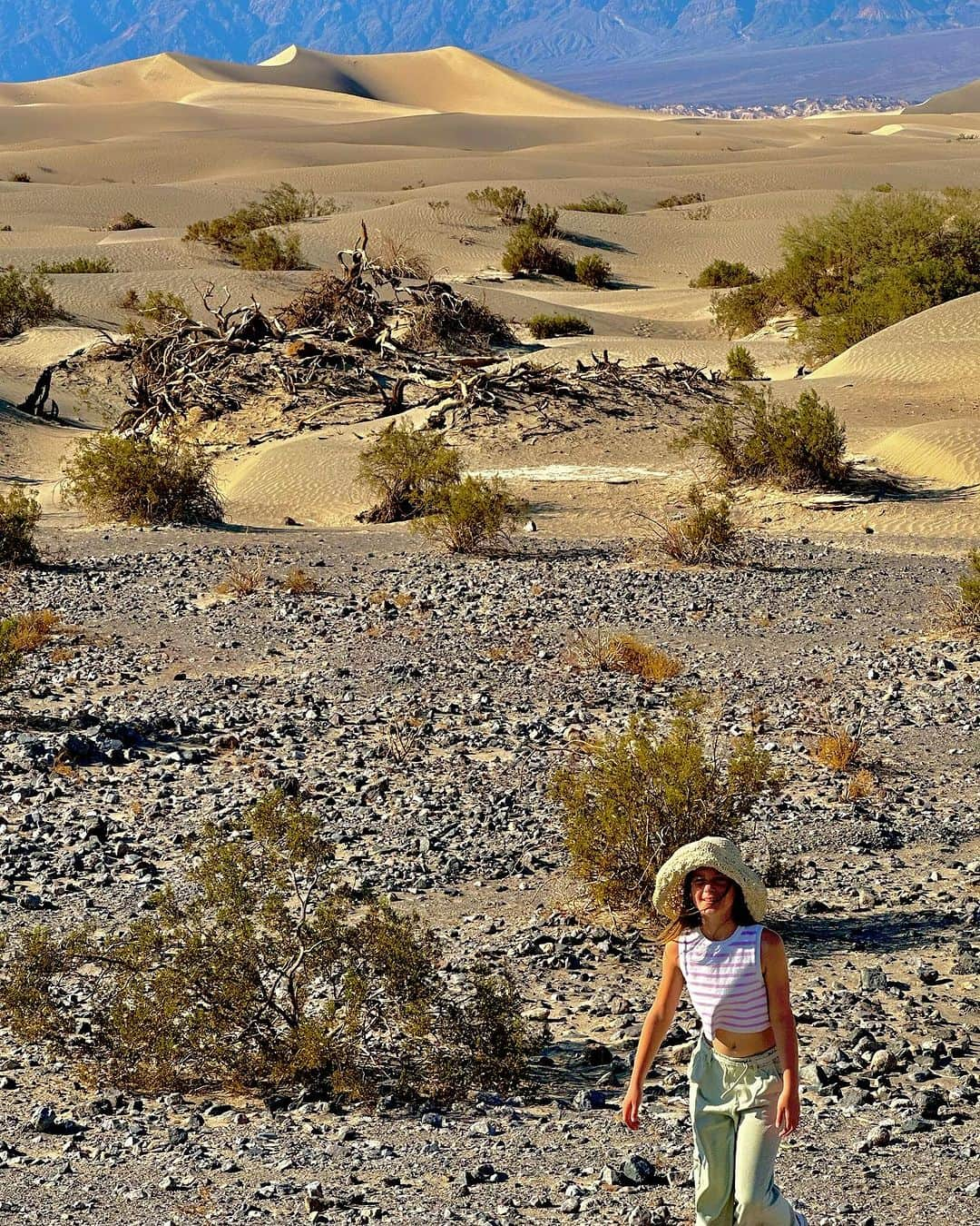 タック・ワトキンスさんのインスタグラム写真 - (タック・ワトキンスInstagram)「Death Valley is a ghost town in mid-July. 🌵💀🌵 #118°InTheShade」7月20日 13時37分 - tucwatkins