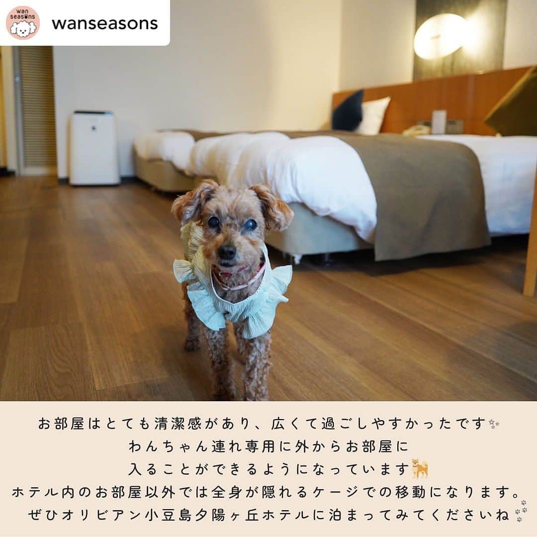 リゾートホテルオリビアン小豆島さんのインスタグラム写真 - (リゾートホテルオリビアン小豆島Instagram)「. @wanseasons ...