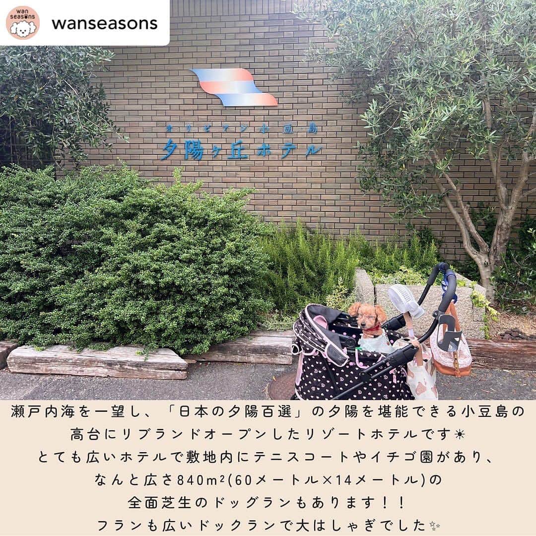 リゾートホテルオリビアン小豆島さんのインスタグラム写真 - (リゾートホテルオリビアン小豆島Instagram)「. @wanseasons ...