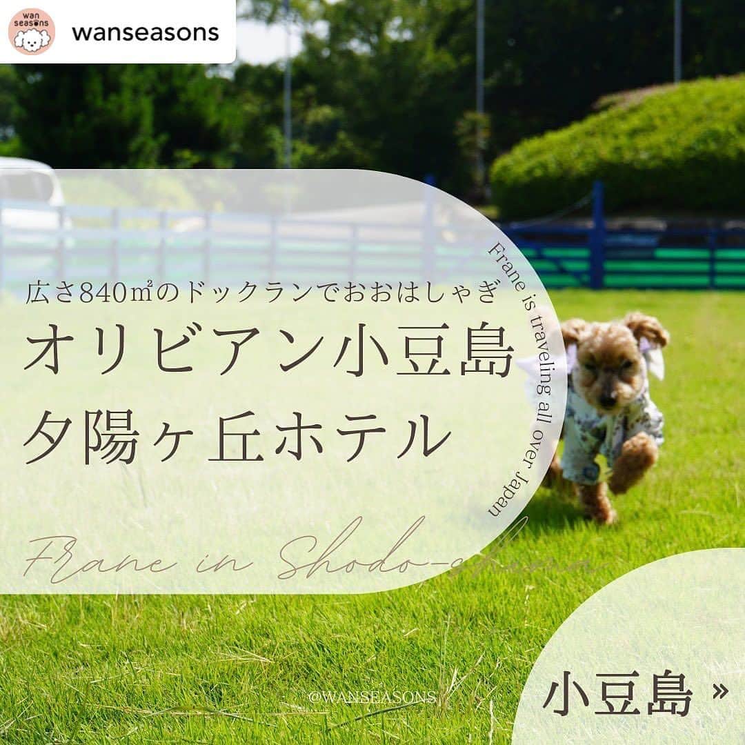 リゾートホテルオリビアン小豆島さんのインスタグラム写真 - (リゾートホテルオリビアン小豆島Instagram)「. @wanseasons ...