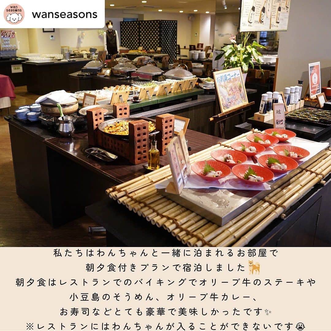 リゾートホテルオリビアン小豆島さんのインスタグラム写真 - (リゾートホテルオリビアン小豆島Instagram)「. @wanseasons ...