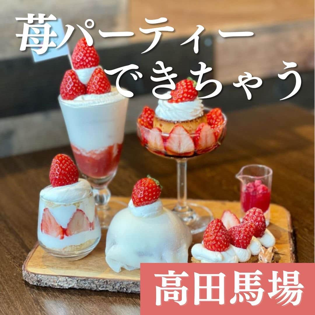 リスカフェのインスタグラム：「←いちごバイヤーおじさん（@ichigoking2008）がいちごのお店について発信中💁🏽‍♂️ -------------------------------------  【高田馬場】リスカフェ（@res_cafe）  6種類のデザートが合わさった「苺パーティー」から「苺大福」や「季節のピスタチオのミルフィーユ」など、苺好きには必見のお店です🍓💫 また「リスカフェ」はペット同伴ok！🐶ワンちゃん連れのお客様も多いそうです！ 夜カフェもやっているのでぜひ訪れてみてください🌝！  ・店舗情報 📍東京都新宿区大久保3丁目9-5都営西大久保アパート1F ⏰11:00〜17:00 💤月曜日  --------------------------------------  #卸売り  #卸売市場  #いちご農家  #いちごスイーツ専門店  #苺大好き  #いちご飴 #いちごパフェ  #高田馬場カフェ」