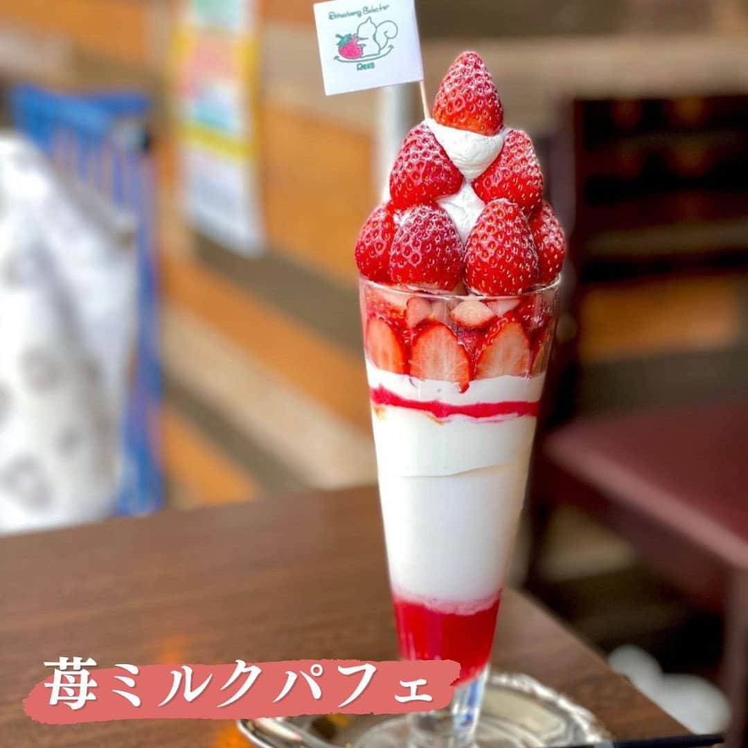 リスカフェさんのインスタグラム写真 - (リスカフェInstagram)「←いちごバイヤーおじさん（@ichigoking2008）がいちごのお店について発信中💁🏽‍♂️ -------------------------------------  【高田馬場】リスカフェ（@res_cafe）  6種類のデザートが合わさった「苺パーティー」から「苺大福」や「季節のピスタチオのミルフィーユ」など、苺好きには必見のお店です🍓💫 また「リスカフェ」はペット同伴ok！🐶ワンちゃん連れのお客様も多いそうです！ 夜カフェもやっているのでぜひ訪れてみてください🌝！  ・店舗情報 📍東京都新宿区大久保3丁目9-5都営西大久保アパート1F ⏰11:00〜17:00 💤月曜日  --------------------------------------  #卸売り  #卸売市場  #いちご農家  #いちごスイーツ専門店  #苺大好き  #いちご飴 #いちごパフェ  #高田馬場カフェ」7月20日 8時30分 - res_cafe