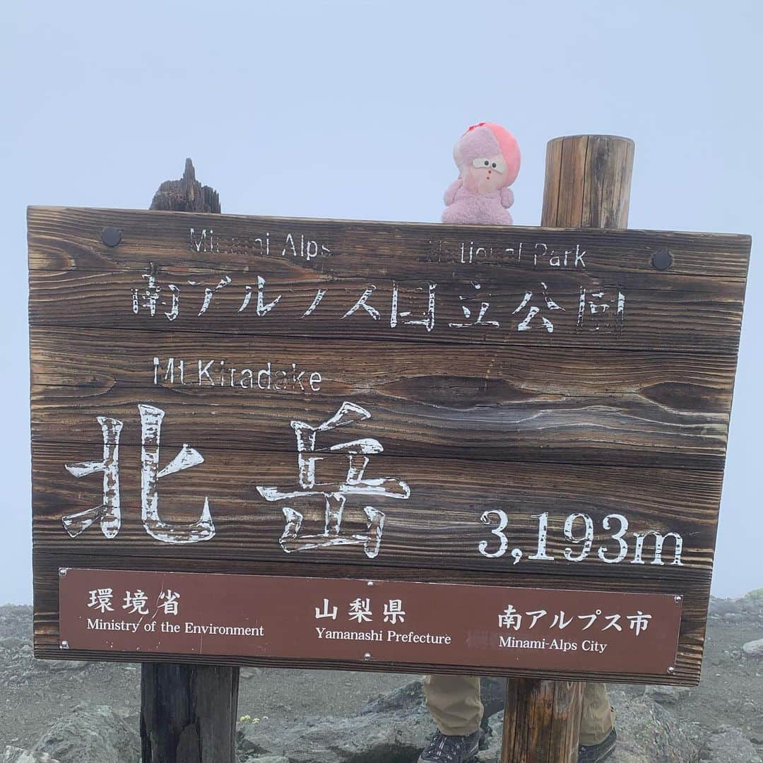 片岡メリヤスのインスタグラム：「北岳登山に行きました。  広河原〜白根御池小屋〜草スベリ〜北岳肩ノ小屋(テント泊)〜北岳〜八本歯のコル〜大樺沢二俣〜白根御池小屋〜広河原  久々の南アルプス。日本で2番目に高い山。 数年前に2泊3日で奈良田〜広河原へのロングコースを経験済みだから今回の登山に不安を感じてなかったけど、あの頃の体力は今の私には無い。結果、今回猛烈に身体が壊れることになる。  1日目 私は11 kg 、Tは13 kgあるザックを背負って標高差1470mの急登をひたすら登る。土曜だけあって行列状態。抜きつ抜かれつ長い行列が徐々に解体されながら、同じペースで登る人たちと無言の連帯を感じ始める。 『白根御池小屋』まではまだみんな余裕があるけど、その先『草すべり』辺りで少し様子が変わる。みんな必死になってくる。そして時に励まし合う。 激混み登山の良い面を知った、周りのペースに引っ張られて登りのつらさと疲れが紛れる。  途中、山頂から下りてくる人が上の状況を教えてくれる。「稜線は立ってられないくらいの爆風が吹いていますよ。」と。 稜線へ出ると爆風。 爆風の登山は何度か経験していて恐怖感ゼロで風に足を取られながらも進み『北岳肩ノ小屋』へ無事到着。爆風の中テント設営。 もうアドベンチャー、みんなこの状況を楽しんでいる。なんだろう不思議だな、なんで過酷って楽しいんだろう。 夜中、遠くゴーンゴーンと山に響く爆風の音がとても幻想的だった。何もかも忘れて、私はただ生きている。  2日目 2日目は北岳山頂から1660m下る。 4時起き。爆風は昨日よりは弱まり、肩ノ小屋から難なく北岳登頂。ガスってて視界ゼロ。でも山頂は風が無く居心地が良い。 山頂から少し下ると気象が穏やかになり視界が開け、遠くの稜線や山が見えてワクワクした。『八本歯のコル』通過後、木の梯子がたくさんあるゾーンに突入。私はこれが苦手。バランス感覚が無いからヒョイヒョイ降りられずここで下り筋肉を消耗した。  梯子エリアが終わって更に下り始めて15分程で膝が笑う感覚が出てきたかも、、と感じる。更に15分程経った頃いつの間にか完全に膝が笑ってる。まだ1/3しか下ってないのに、この時点で膝が笑ったことにヤバさを感じつつ進むしかない。Tが私の荷物を減らして自分のザックに入れてくれた。それでも『大樺沢二俣』に着く途中で今まで経験した膝が笑う状態のMAXに。 Tからの提案で「痛み止めを飲んだらどうか？」と。どこも痛くはないけど、膝の踏ん張りがきかない症状に痛み止めが効くかどうか？謎だけど一筋の希望を持って飲んでみる事に。  『大樺沢二俣』から『白根御池小屋』までは少し平坦な道になり持ち直し、小屋に到着。あわよくばもうここでテント泊したい、、、と思ったけど予約でいっぱい。コロナのせいでテントも予約制になったのかな？、、つらいぜ〜と思いながら、心を決める。もうどうなっても最後まで下るしかない。 コースタイムであと2時間(私の足ではきっと3時間)、高低差が猛烈なこの山道をこの足で？！ もはや今まで経験したことのない怪我人状態の歩みでひたすら下る。何度か膝の関節が逆に曲がる感覚すら覚えながら、痛み止めは効かないし、膝は曲がらないし、、。 途中、心配してくれた人が「痛み止め飲みますか？」と声をかけてくれたけど、もう飲んでた。でも優しい人だなと思った。彼の目は忘れない。  最後の1時間は、私みたいに膝や足が死んでる人が何人もいてちょっと笑えた。なんなん？この状況。 一度心が折れかけたけど、山では心が折れても何も変わらないから、自分の心のチャンネルをガチャっと回すしかない。私はそれができるから山に登れる。これは魔法だと思う。  余裕だと思ってた4:40発のバスにギリギリ乗ることができた。ボロボロになって。 1日目に2時間20分で登った広河原〜白根御池小屋 間を、2日目で3時間かけて下った。下りの方が時間かかるなんて、、、！ もう今回の登山は完全敗北。 毎日家にいて、運動ゼロで行っちゃいけない。1470m登った疲労感たっぷりの足で翌日1660m下る怖さを私は知らなかった。 疲れ過ぎて温泉にも行けず、帰りの車の中ではずっと唸って寝てた。 限界突破でもない、突破できずに這いつくばりながら帰ってきた感じ。  生きるって何？ 遊ぶって何？ 私は懲りずにまた山に行くんだろうな。  #北岳」