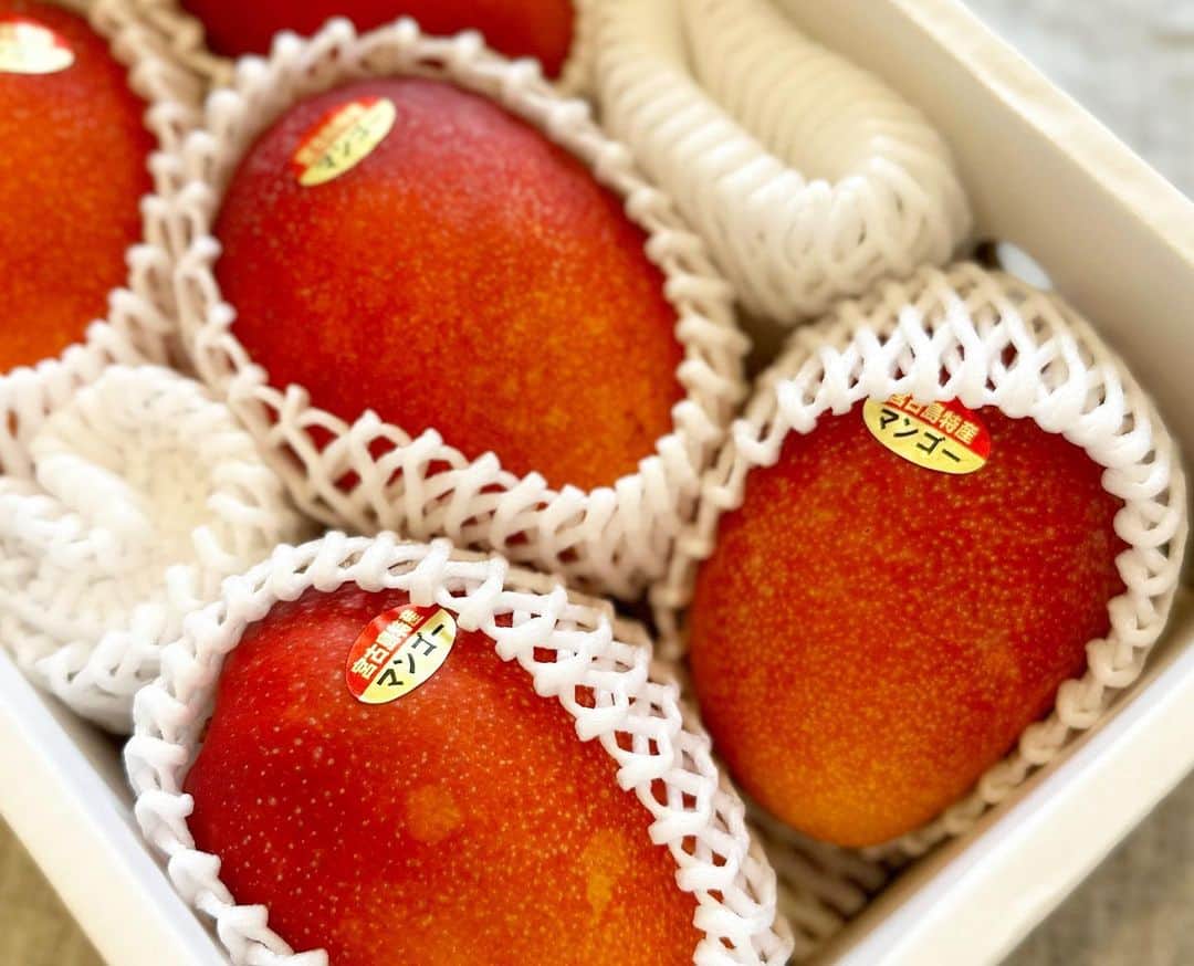 鈴木六夏さんのインスタグラム写真 - (鈴木六夏Instagram)「宮古島のマンゴー✨頂きました♡  @aratatomori ありがとうー！  そのままで贅沢に、 ヨーグルトにのせ、甜菜糖と蜂蜜でつけてあったレモンとそのシロップをかけたらこれまたバツグン😋😋😋  4枚目は桃ゼリー。 こちらはスーパー購入の桃🍑😆 @yuko.kumako に教えてもらい バニラアイスを載せるとさらにら美味😋  そしてさくらんぼー🍒 こちらも大好きな友人がくださった山形産！２パック、秒でなくなりました😅  果物って幸せの極み。」7月20日 10時25分 - rikuka.62