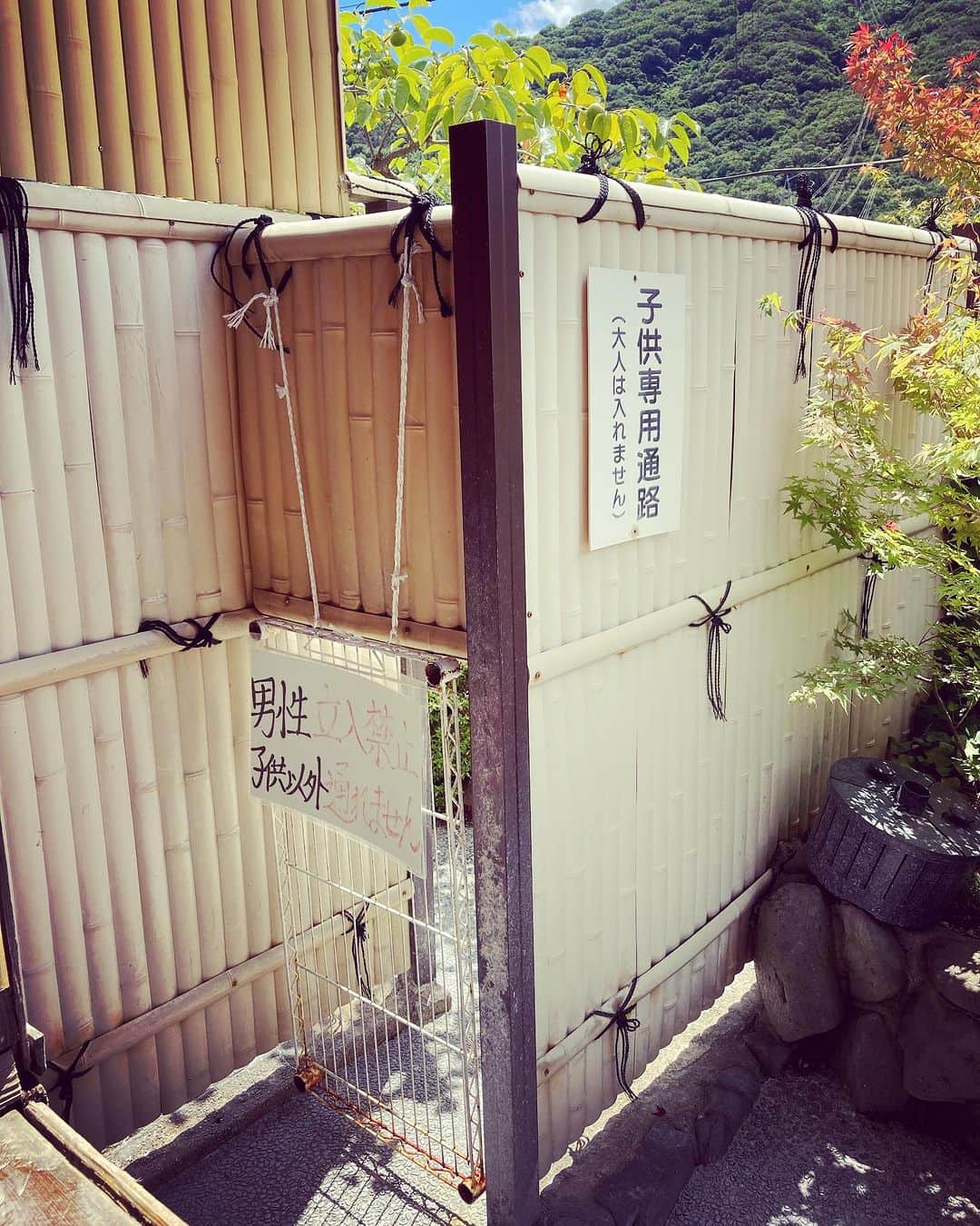 三宅洋平さんのインスタグラム写真 - (三宅洋平Instagram)「男風呂と女風呂を行き来できる子ども専用通路のある温泉。江戸時代的な人情味を感じて、疲れも取れたし、心も温まりました。  #岡山 #牟佐 #元祖かけ流し桃太郎温泉」7月20日 11時36分 - miyake_yohei