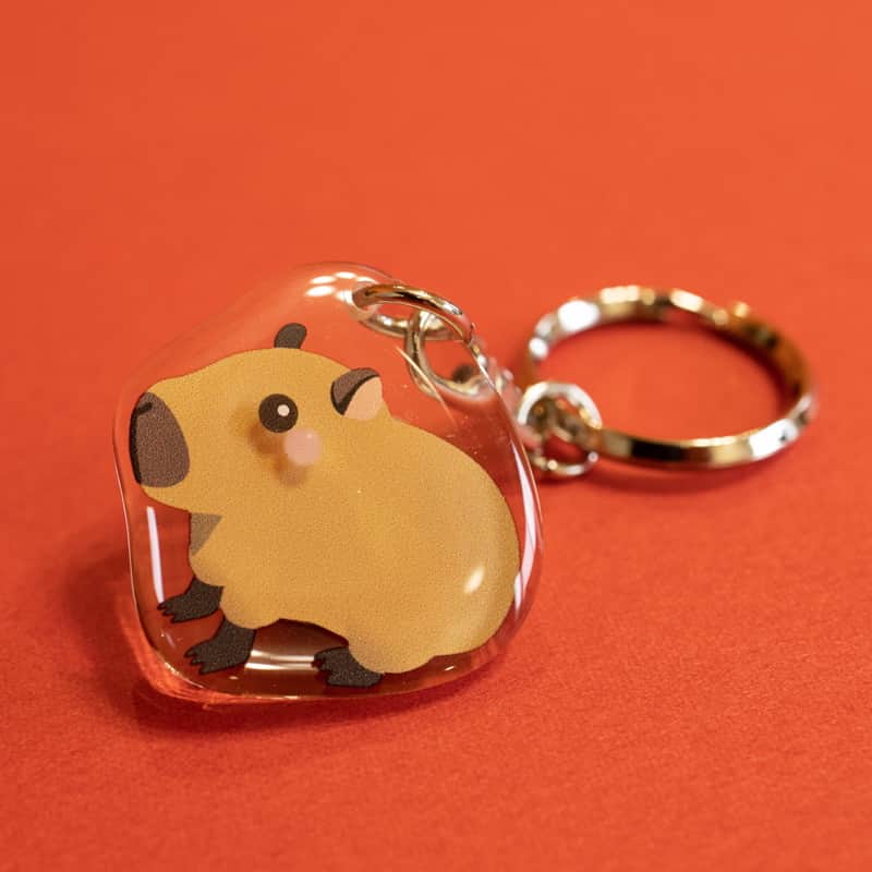 渡辺克仁さんのインスタグラム写真 - (渡辺克仁Instagram)「可愛いカピバラのアクリルキーホルダー、440円。リングと比較して頂ければ分かりますがイラスト部分は小さいので、鍵などを付けるにはベストサイズで実用的です。  #カピバラ #水豚 #capybara #那須どうぶつ王国」7月20日 11時58分 - katsuhito.watanabe