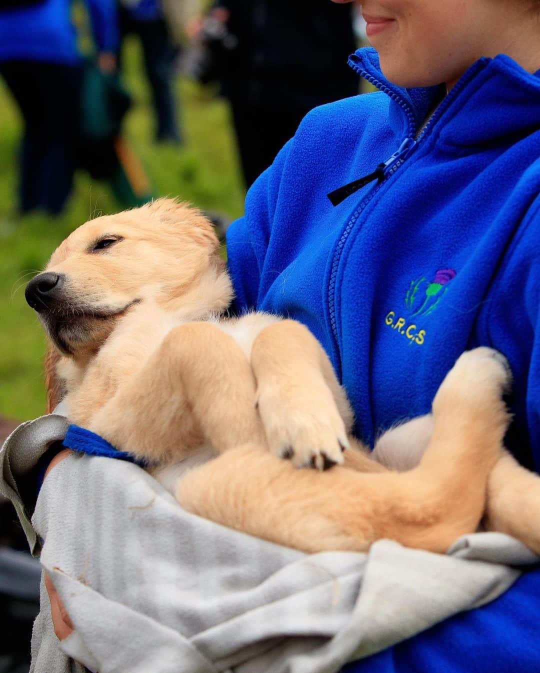 ニューヨーク・タイムズさんのインスタグラム写真 - (ニューヨーク・タイムズInstagram)「Why did 488 golden retrievers gather in Scotland?  Around 4 p.m. on July 13, 488 dogs assembled on the broad lawn in front of the ruins of Guisachan House in the Scottish Highlands to take a group photo of the 2023 Guisachan Gathering, a kind of golden retriever convention, commemorating the anniversary of the founding of the breed.  Since the first group photo was taken in 2001, golden lovers have come together about every five years to pay homage to Sir Dudley Marjoribanks, later Lord Tweedmouth, who lived in what was then Guisachan House. Sir Dudley is credited with developing the golden retriever in 1868, when he bred a wavy-coated retriever with a tweed water spaniel. He wanted a rugged hunting companion with a beautiful head, a loving disposition and soft, melting eyes, a dog that lived to fetch game. An obsession with tennis balls and rolling in filth apparently also came with the package.  People and their dogs travel from around the world to take part in the Guisachan Gathering, and this year’s was the biggest yet. Represented this year were Ireland, Bavaria, Switzerland, the Czech Republic, the U.S., Australia, Canada and Croatia.  Besides the photo, what else do the dogs get up to? Tap the link in our bio to read more from @nyttimestravel about the golden retrievers’ gathering in Scotland. Photos by @invernessphotographer」7月20日 21時21分 - nytimes